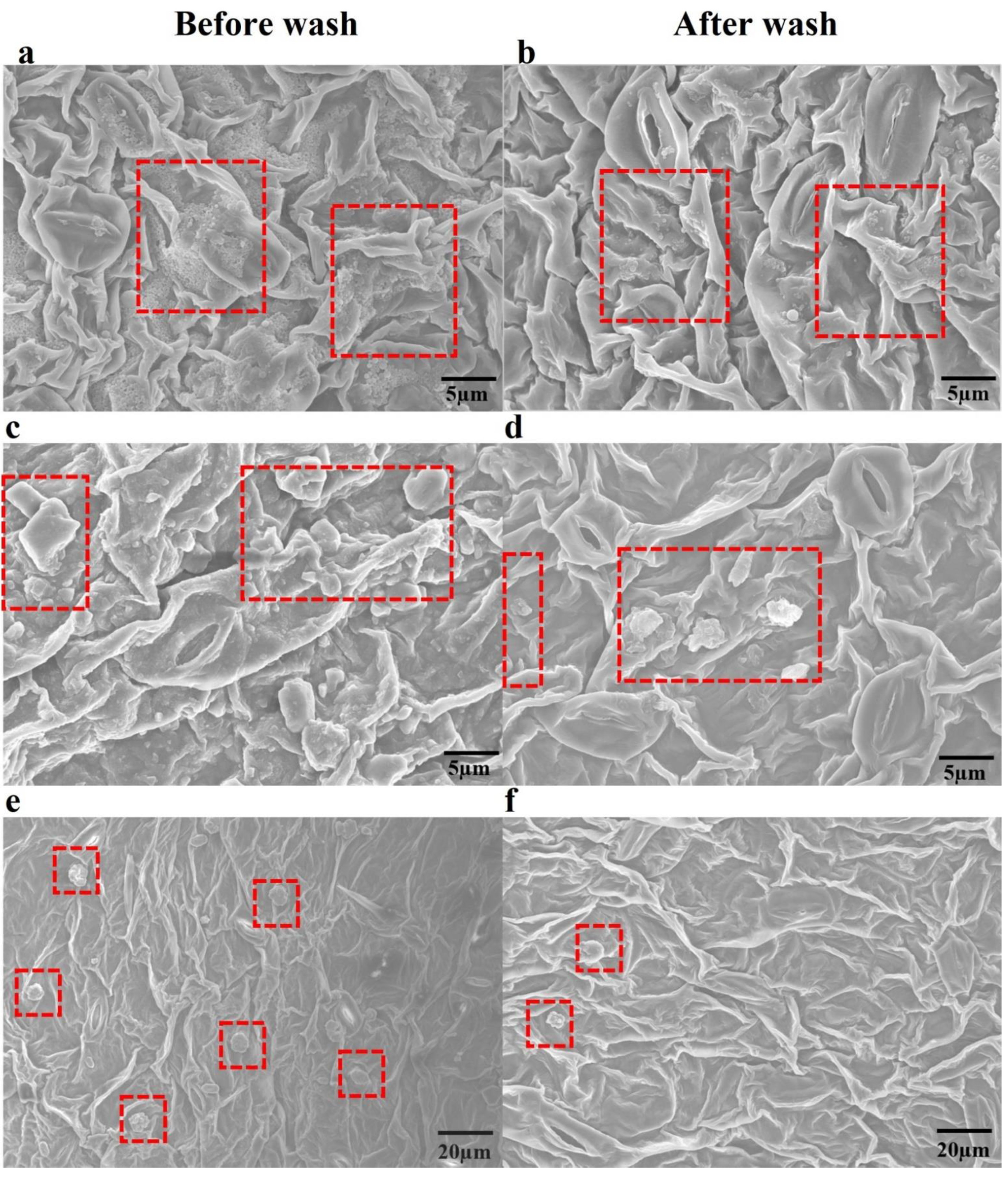 Nanomaterials 11 02730 g011 Nanomaterials 11 02730 g011