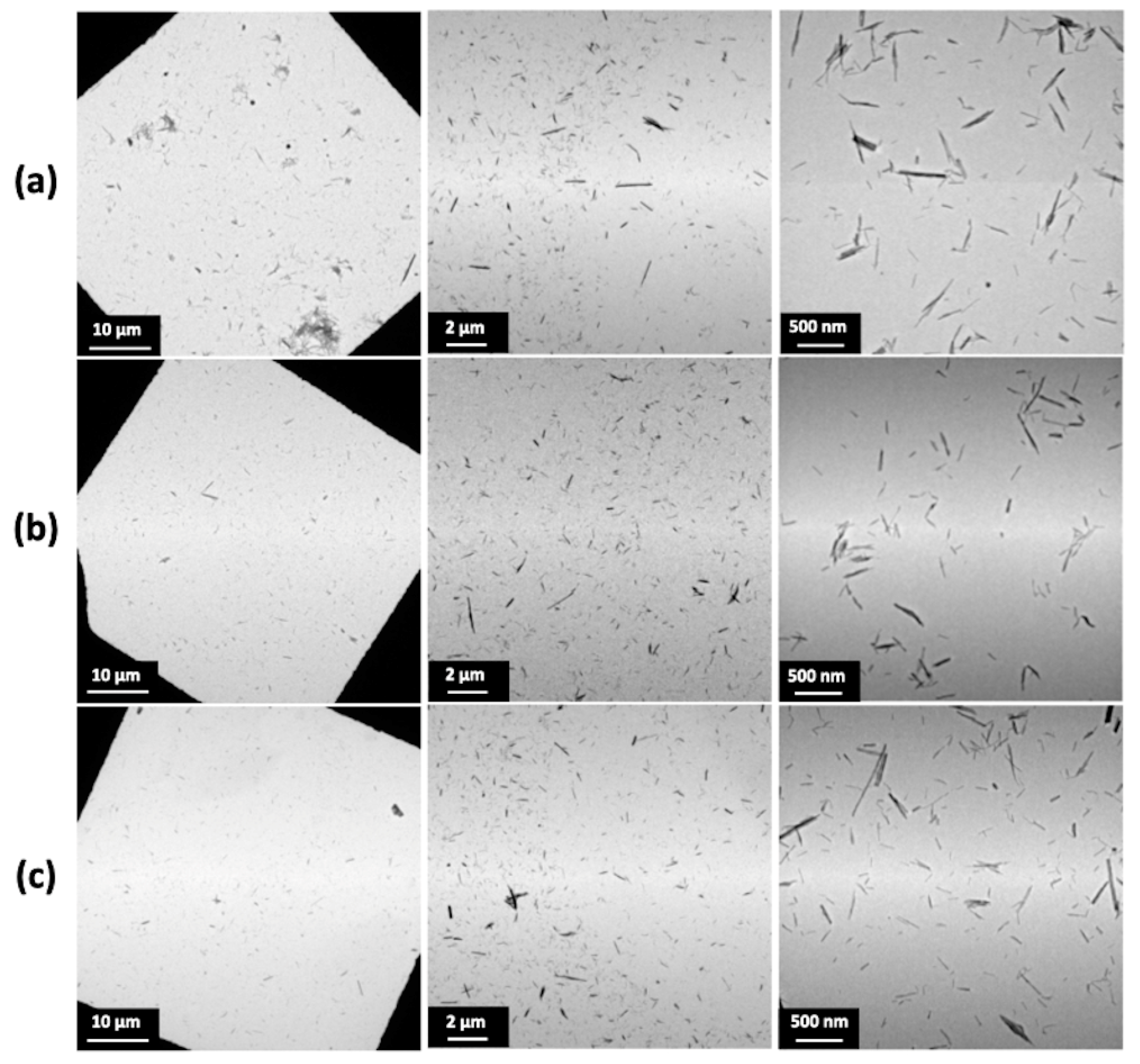 Nanomaterials 11 02733 g005 550
