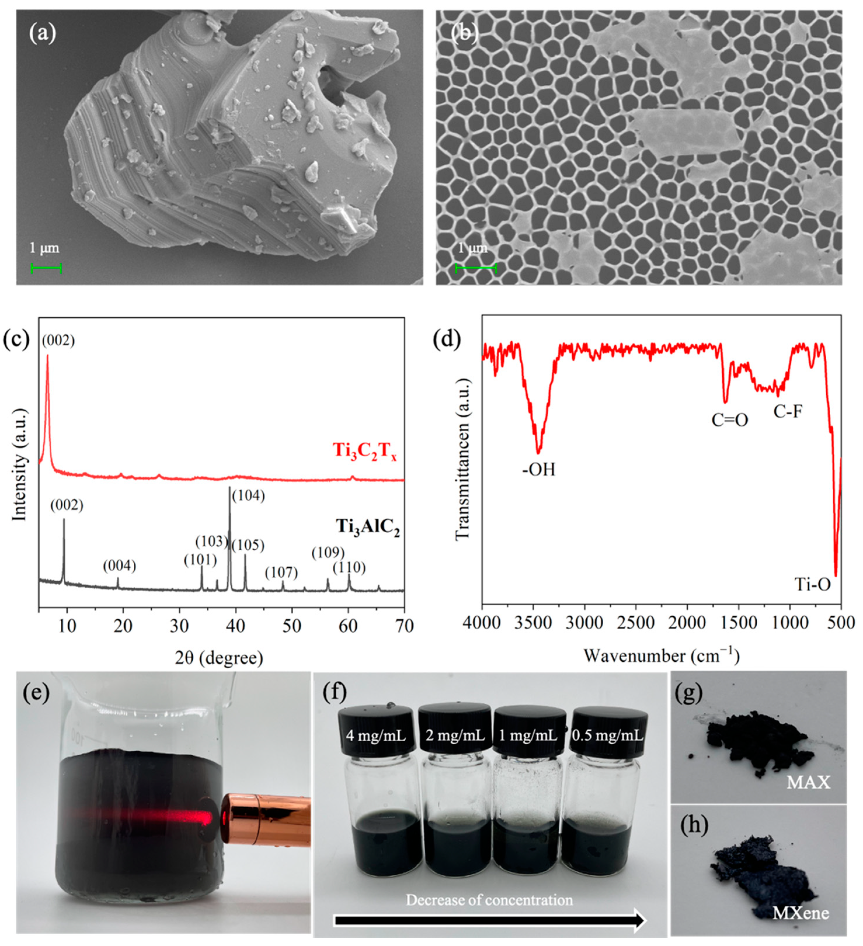 Nanomaterials 11 02737 g002