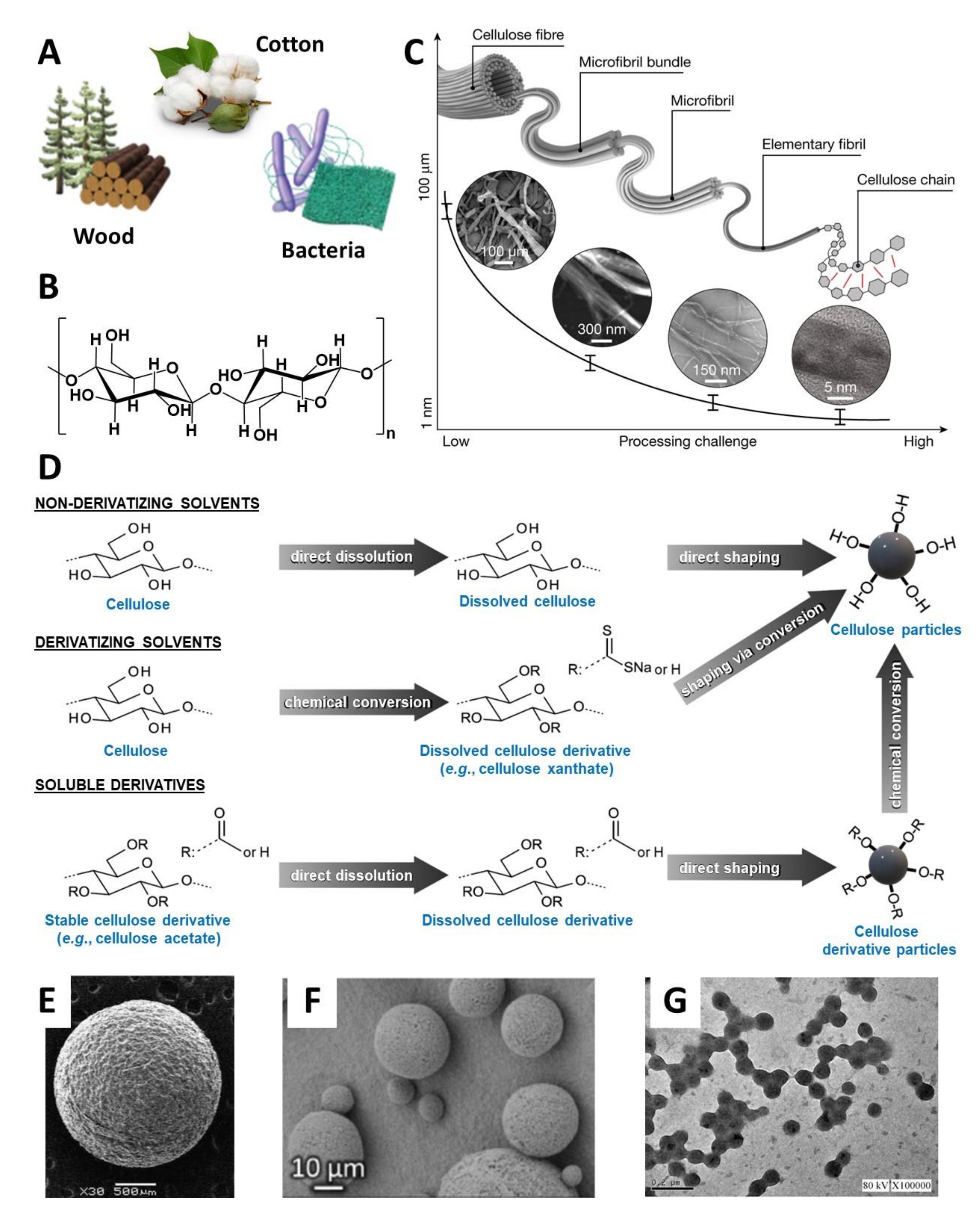 Nanomaterials 11 02744 g001 Nanomaterials 11 02744 g001