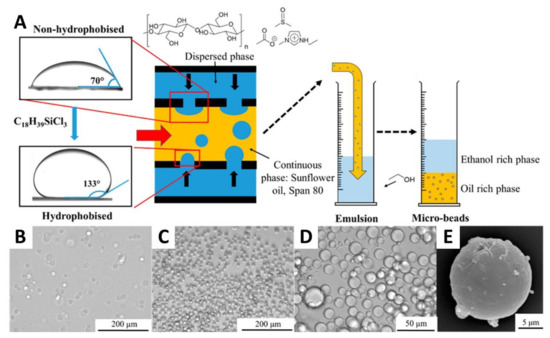 Spherical Cellulose Micro and Nanoparticles: A Review of Recent ...