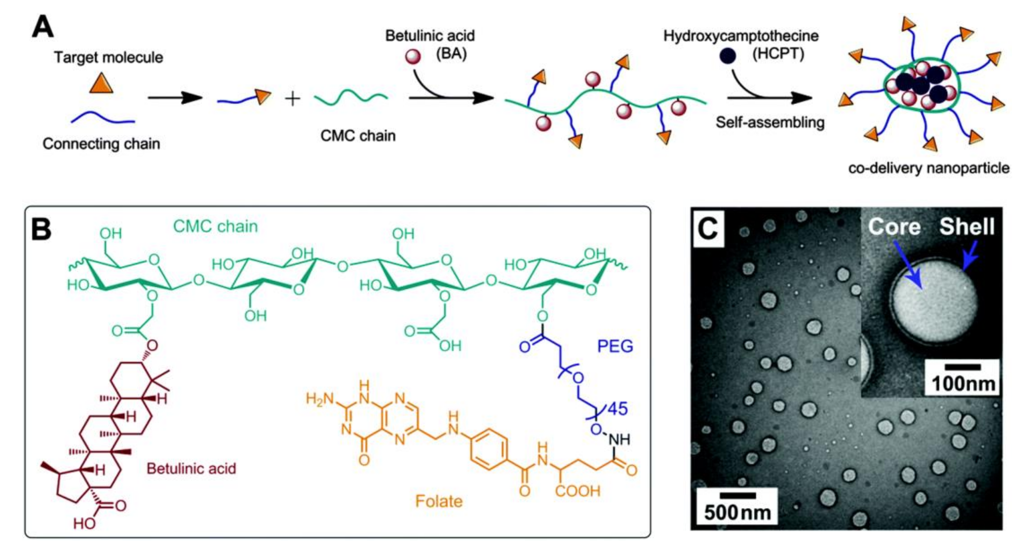 Nanomaterials 11 02744 g005 Nanomaterials 11 02744 g005