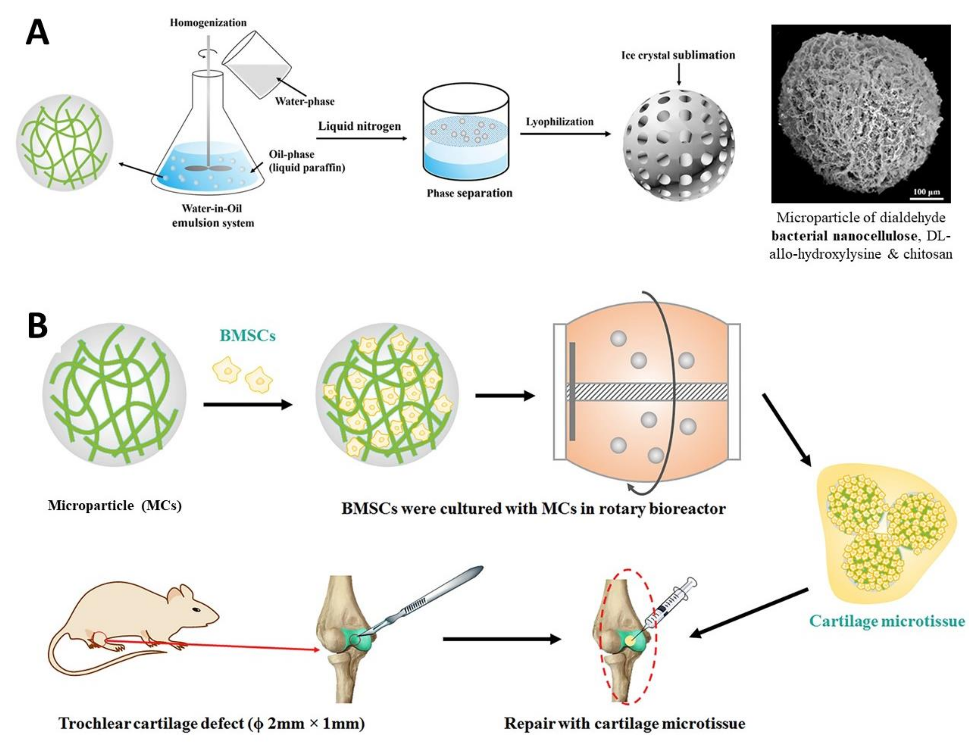 Nanomaterials 11 02744 g007 Nanomaterials 11 02744 g007