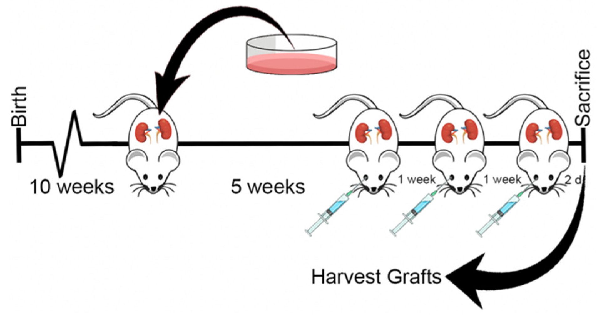 Nanomaterials 11 02745 g006