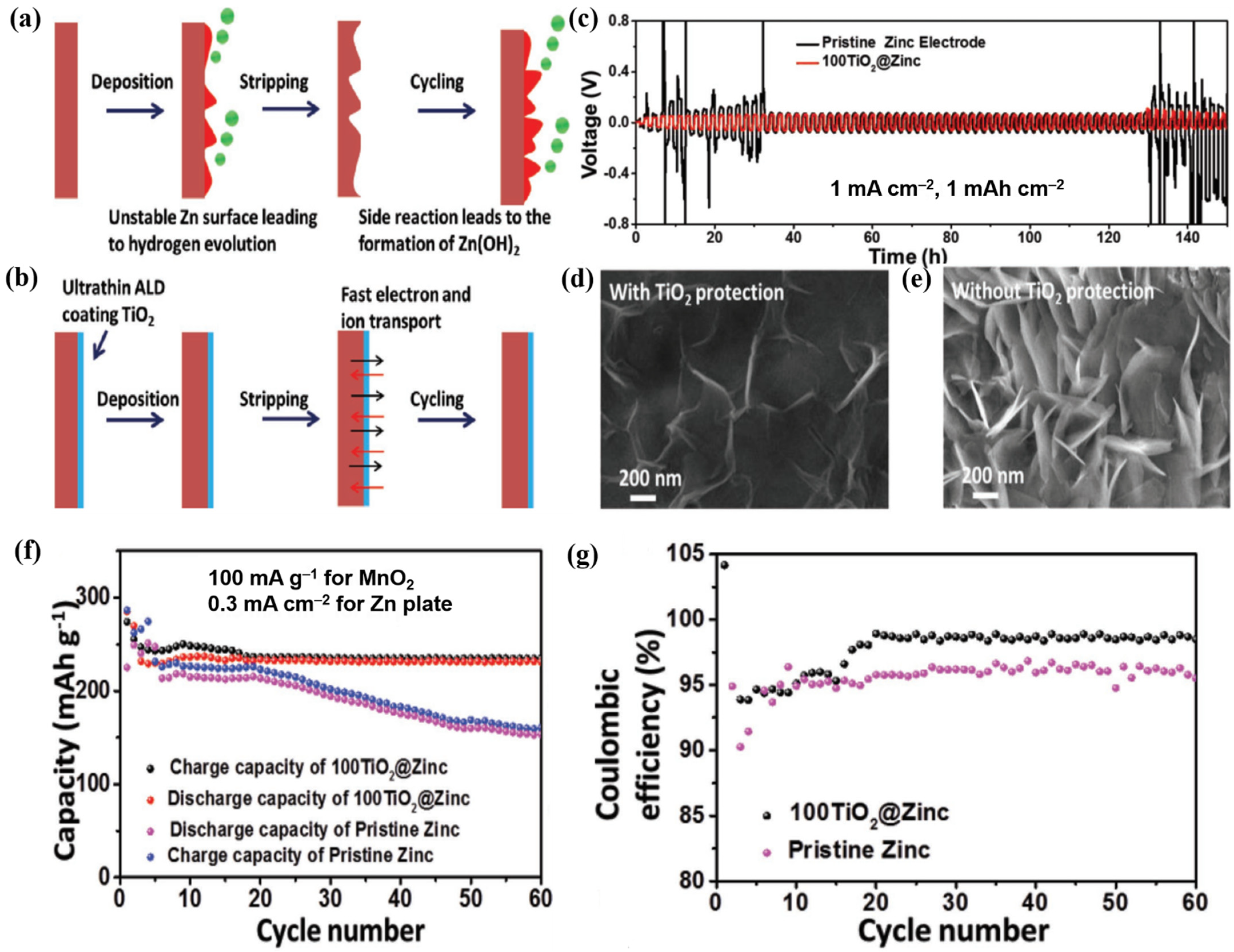 Nanomaterials 11 02746 g012