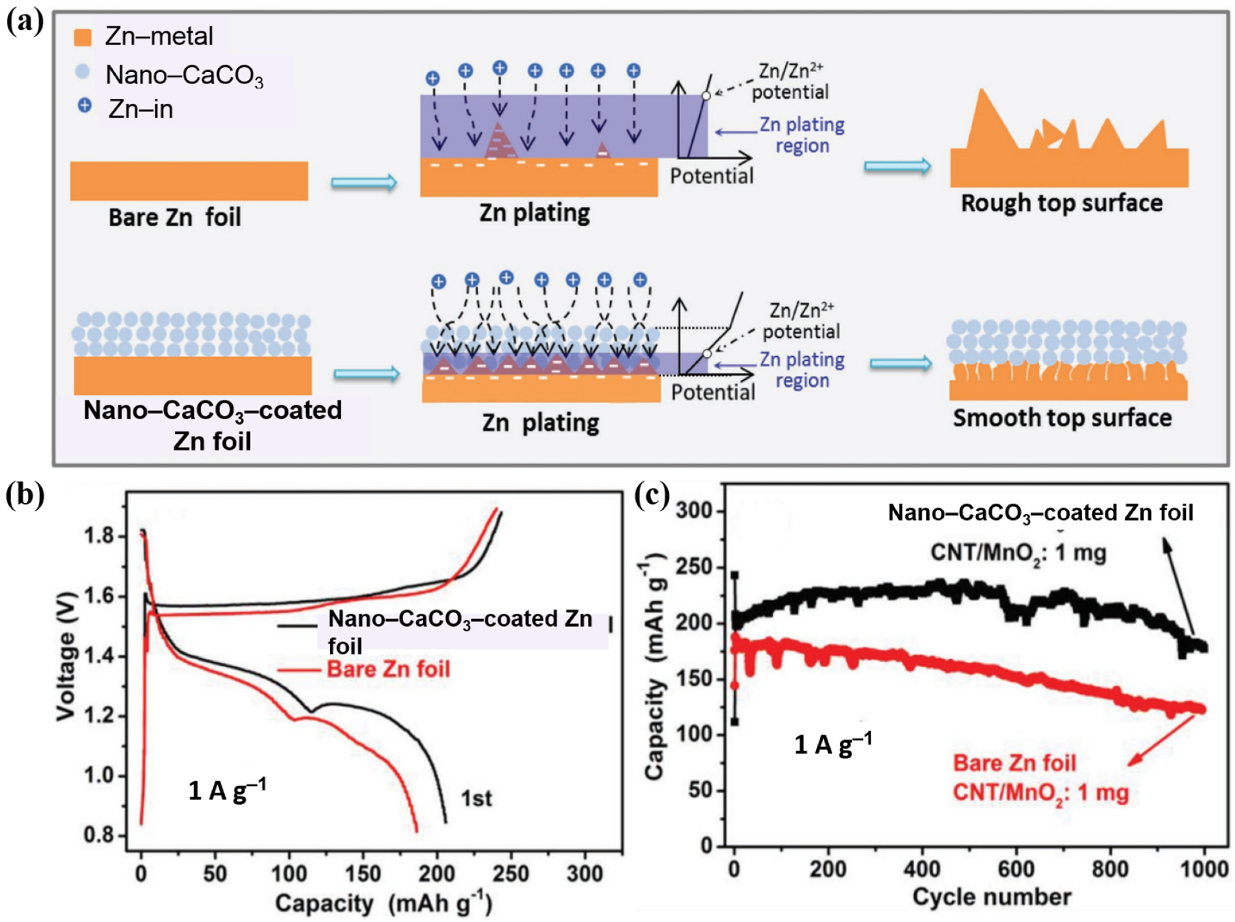 Nanomaterials 11 02746 g015