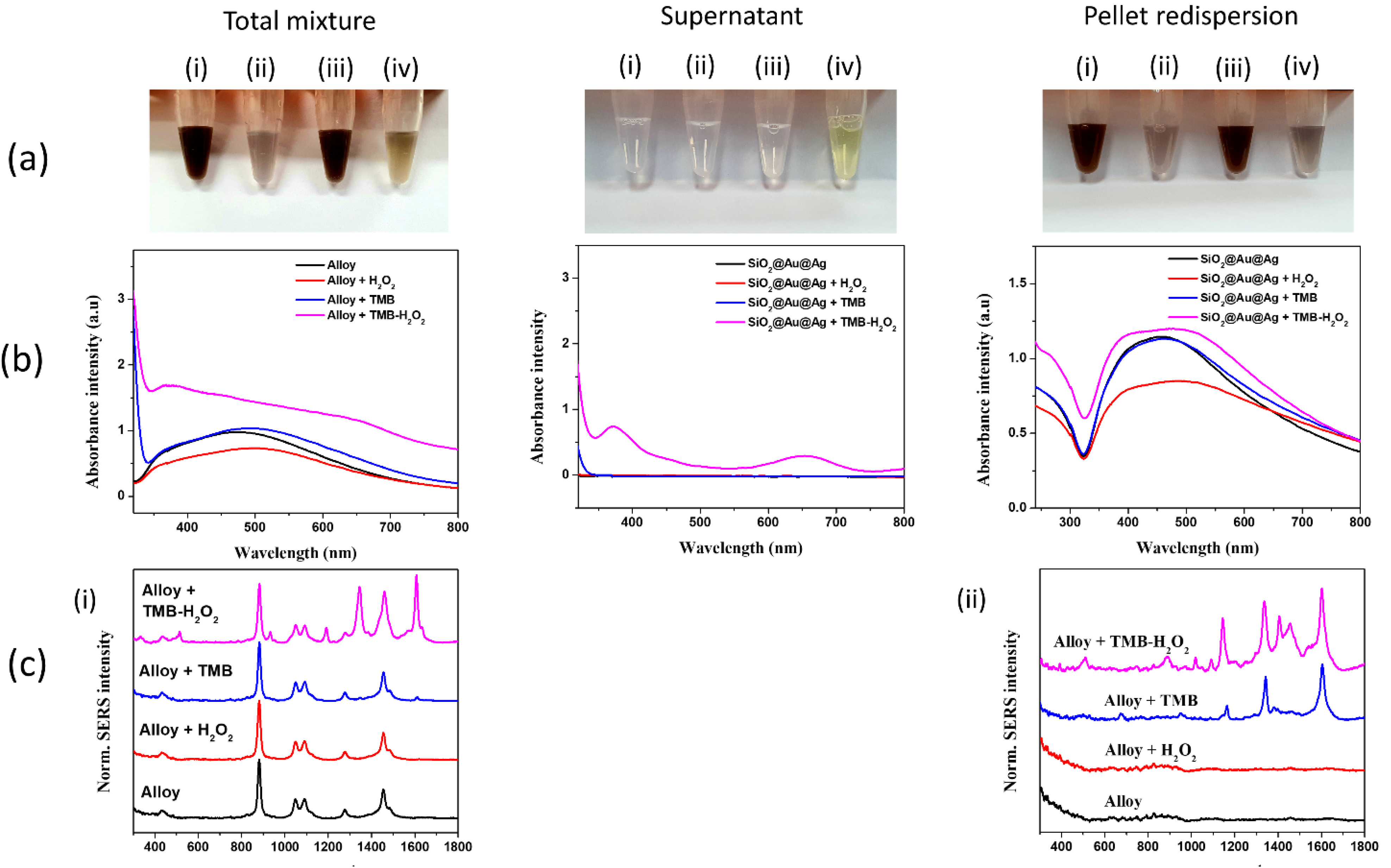 Nanomaterials 11 02748 g001
