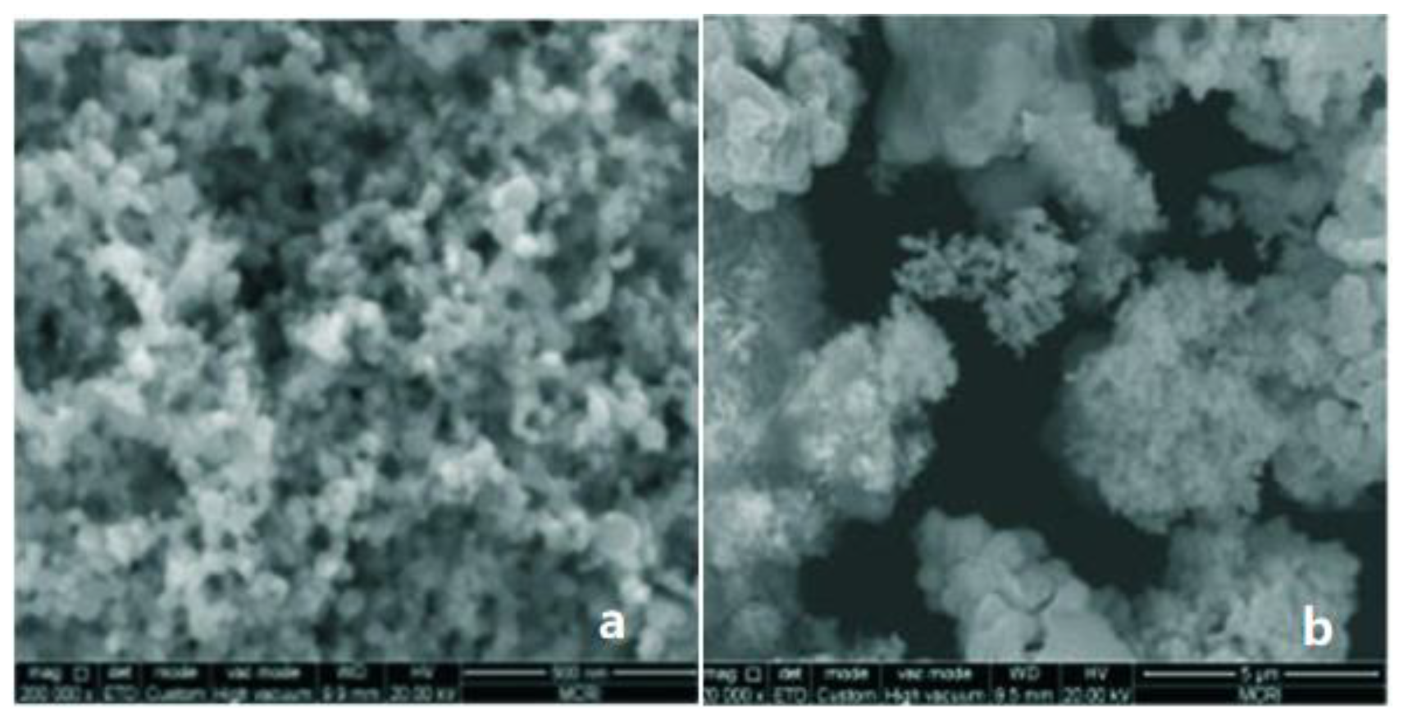 Nanomaterials 11 02749 g010