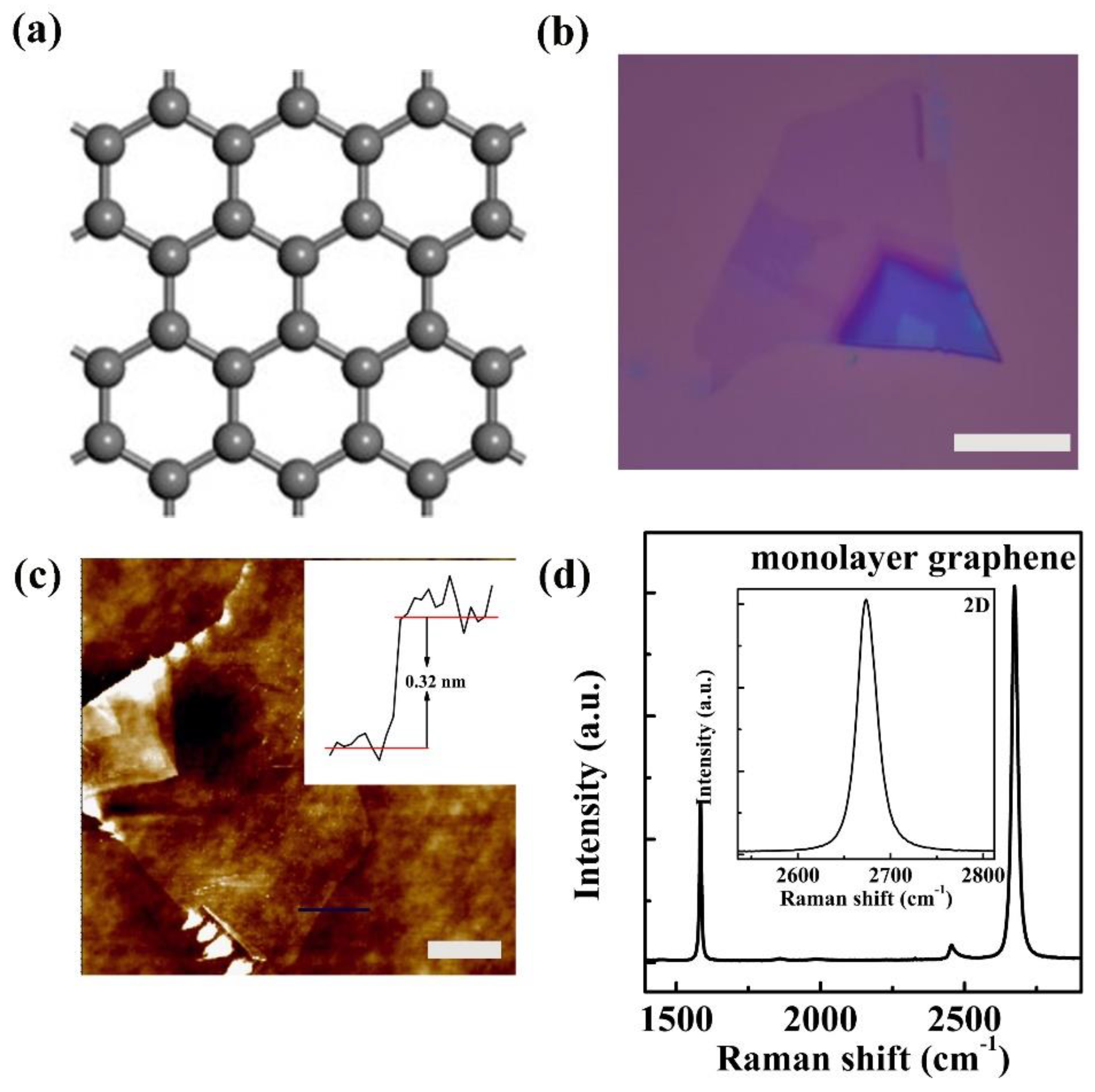Nanomaterials 11 02751 g001
