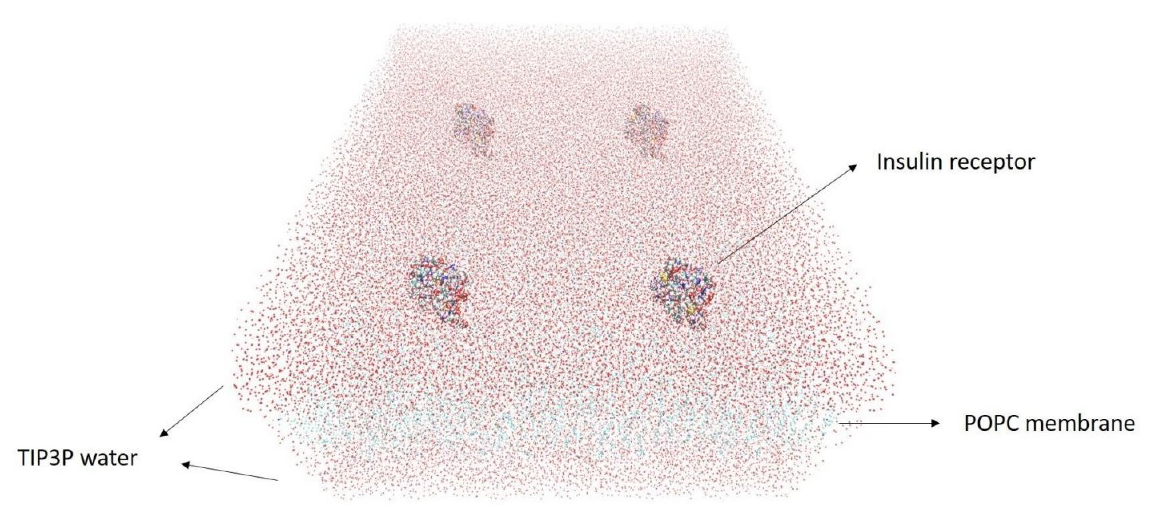 Nanomaterials 11 02754 g004
