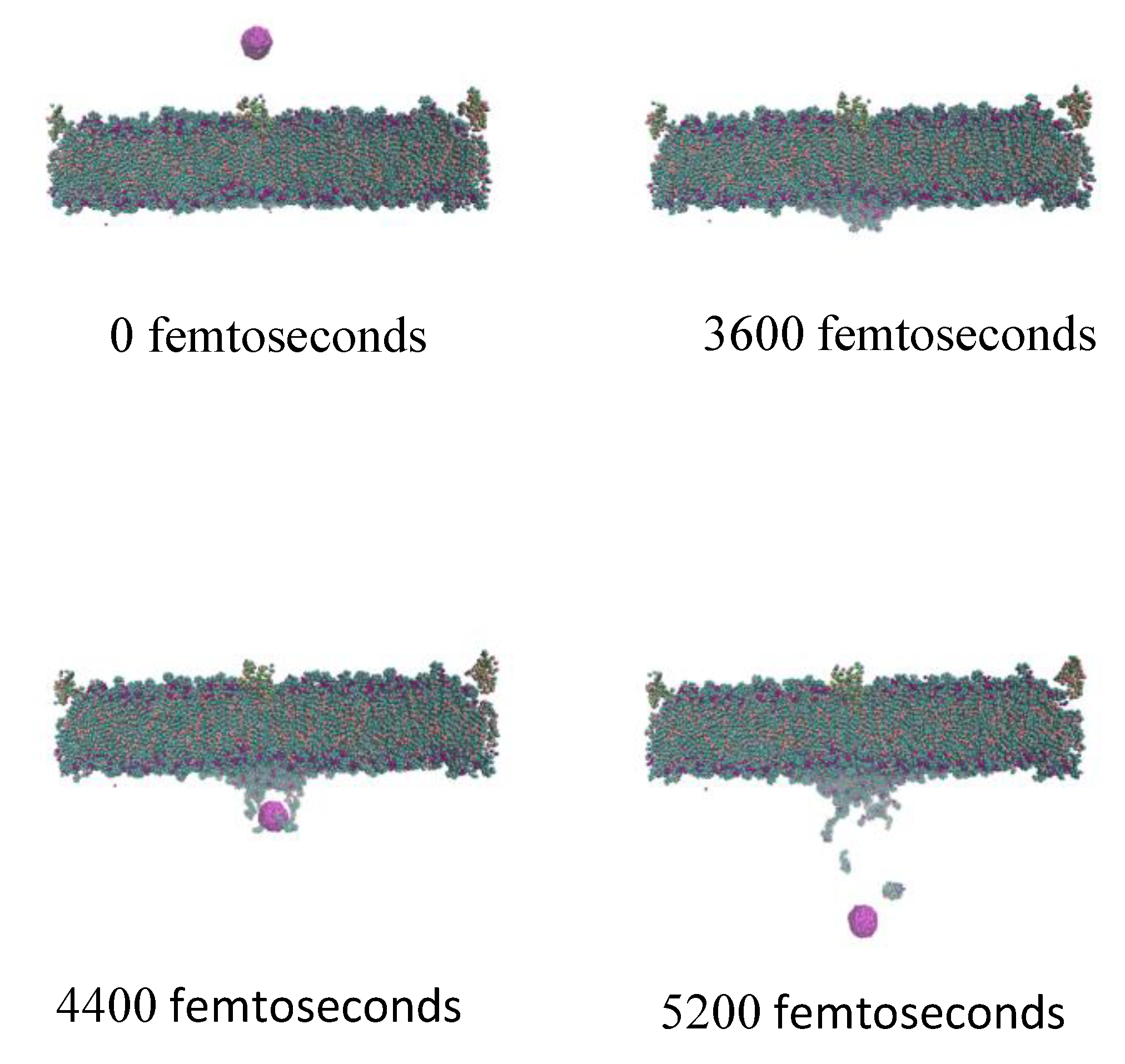 Nanomaterials 11 02754 g006