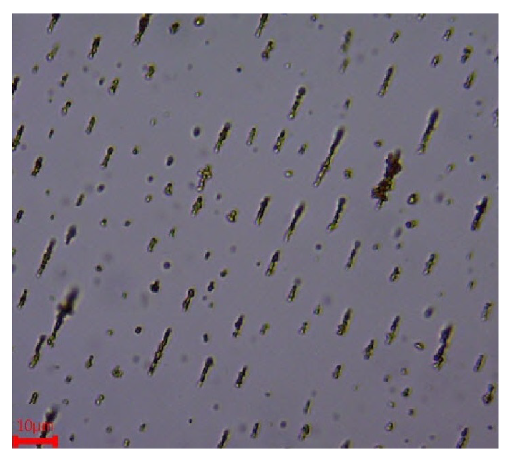 Nanomaterials 11 02754 g008