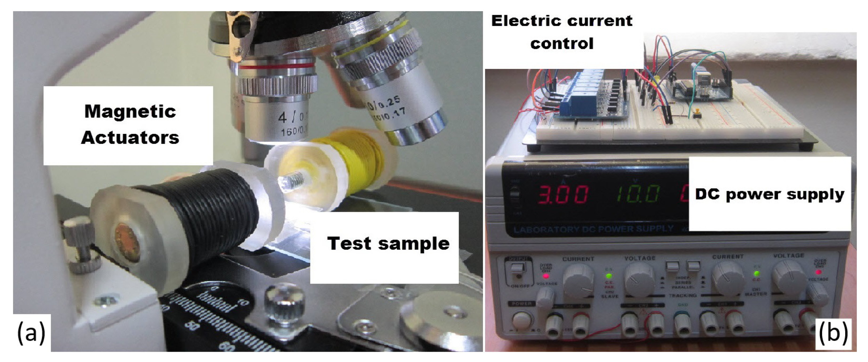 Nanomaterials 11 02754 g010
