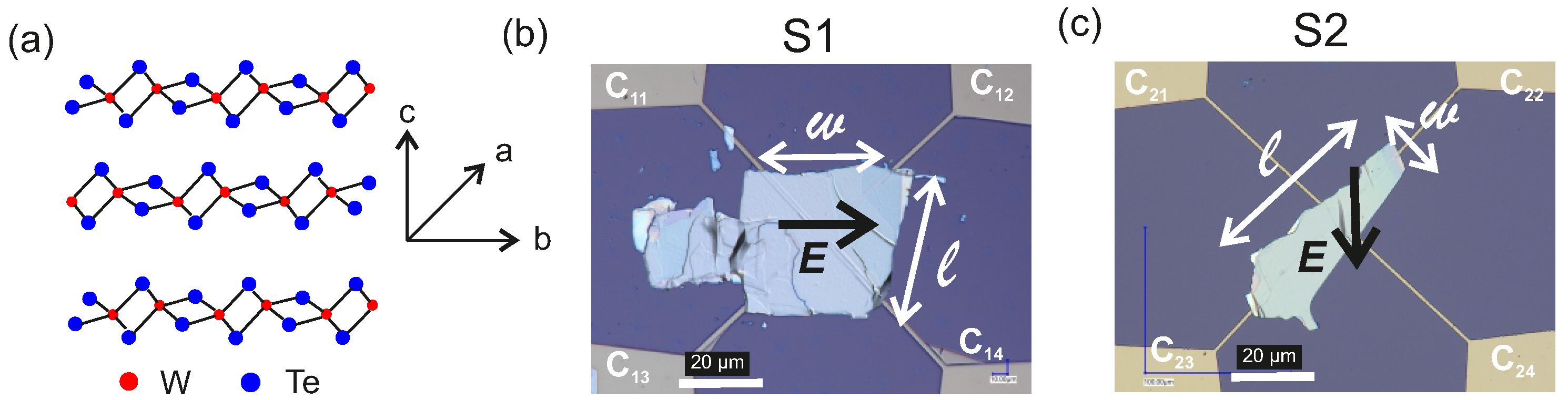 Nanomaterials 11 02755 g001