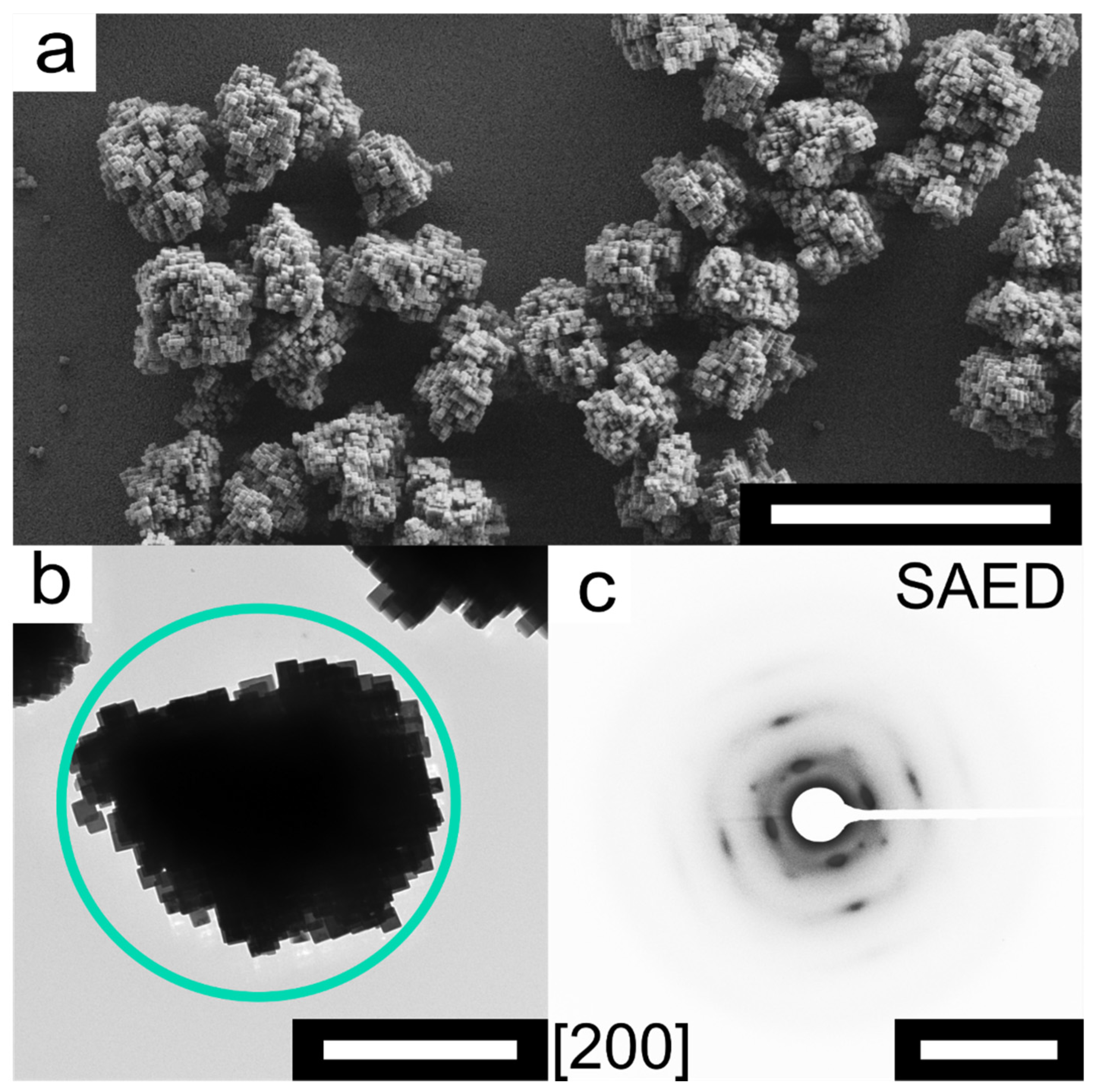 Nanomaterials 11 02756 g001 550