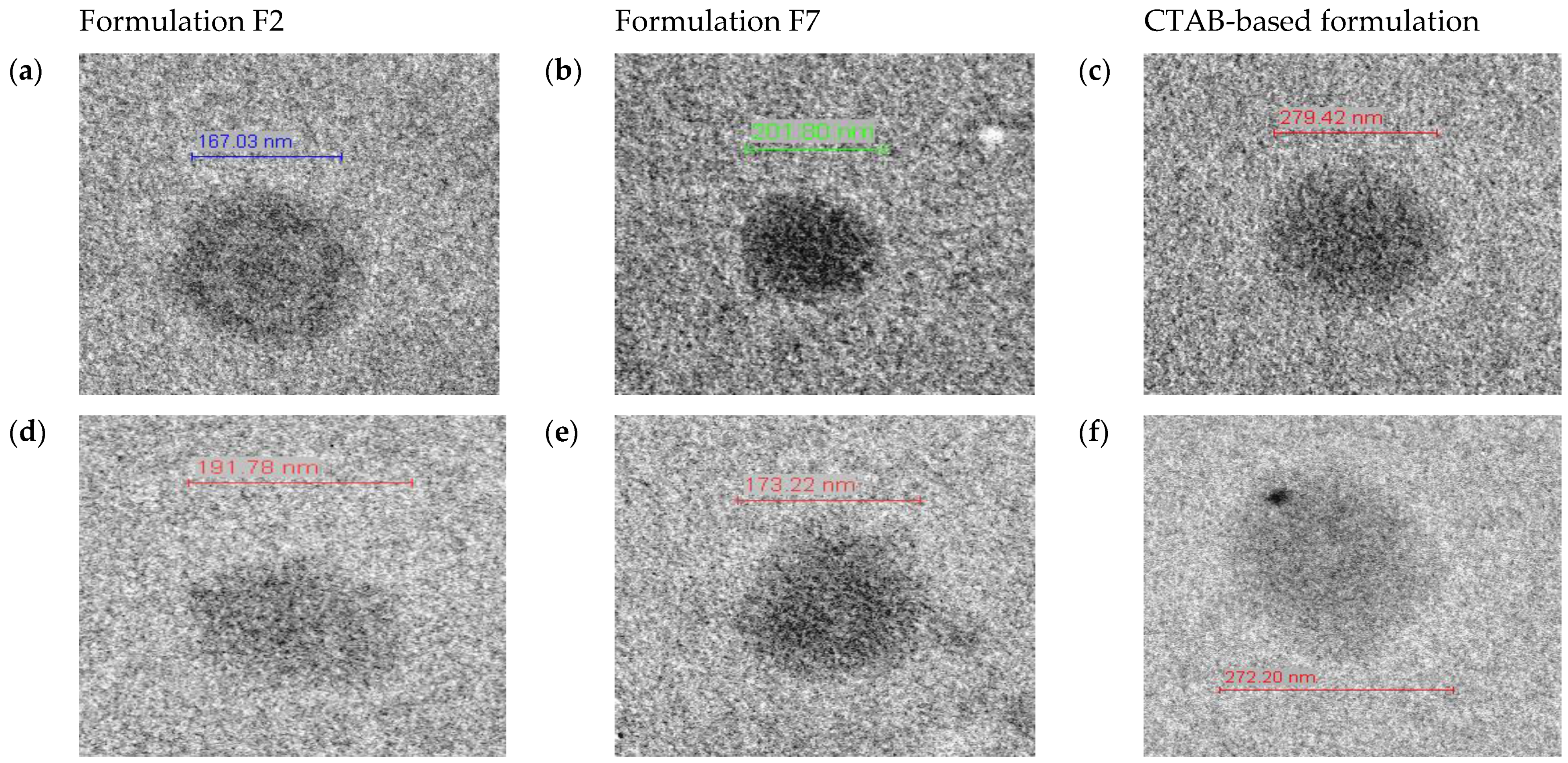 Nanomaterials 11 02758 g010