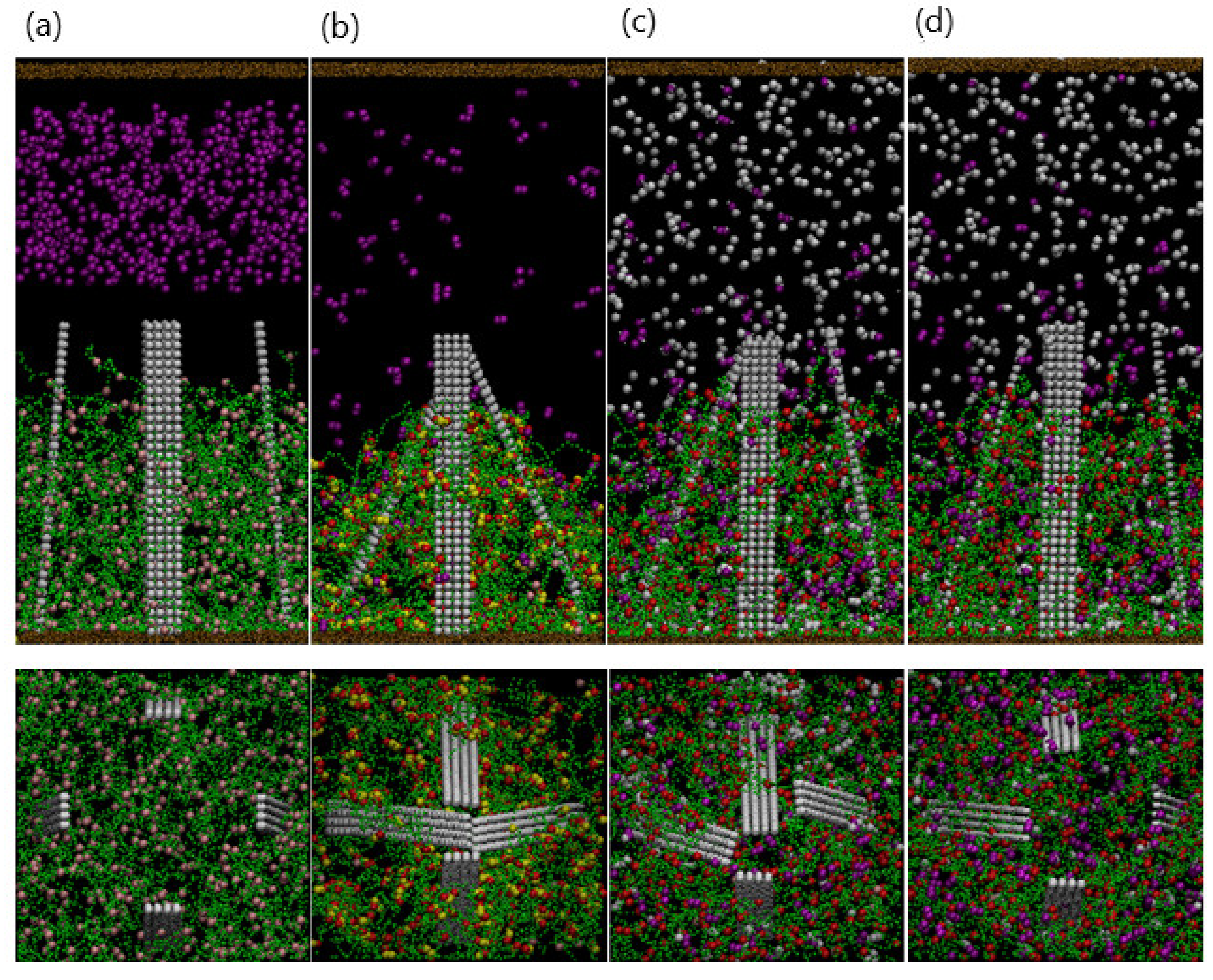 Nanomaterials 11 02764 g010 550