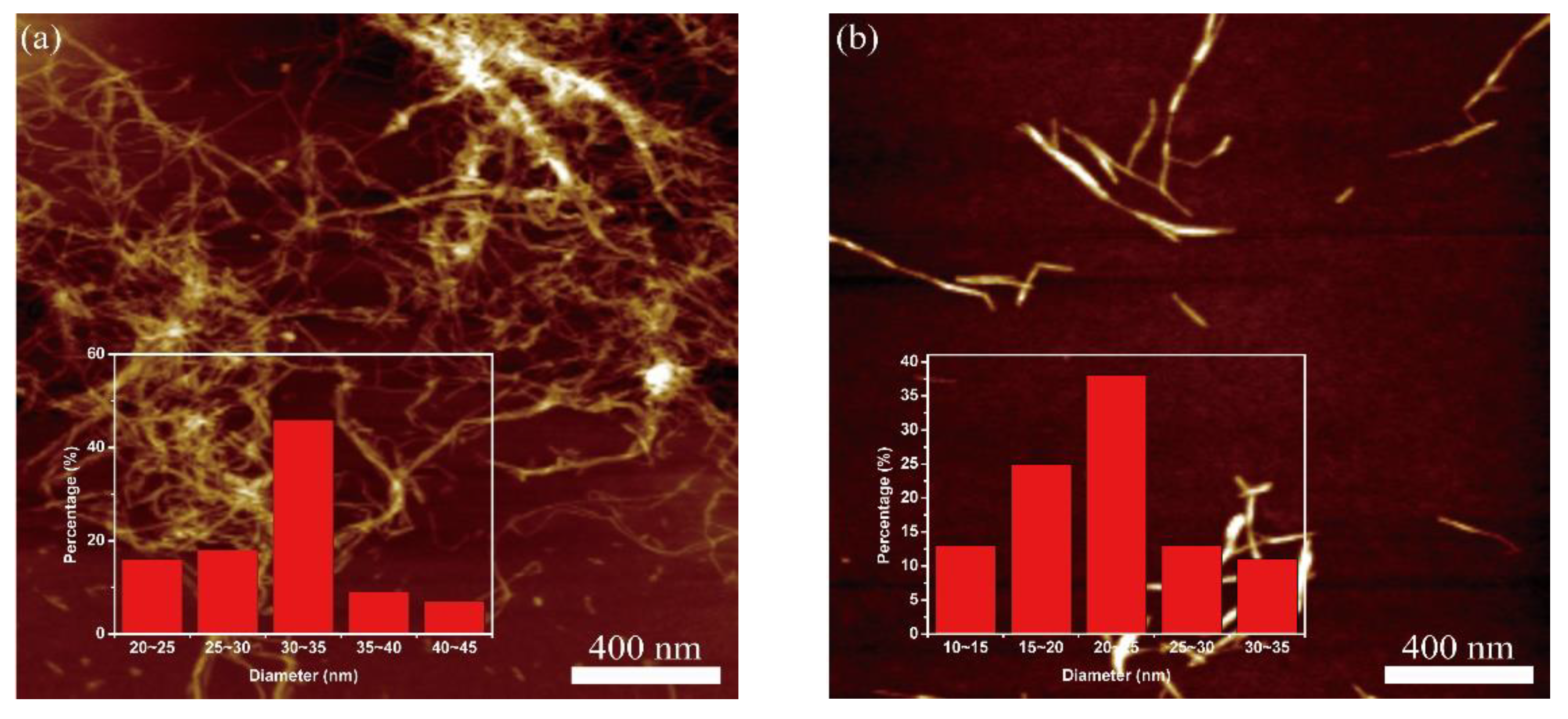 Nanomaterials 11 02778 g005a 550
