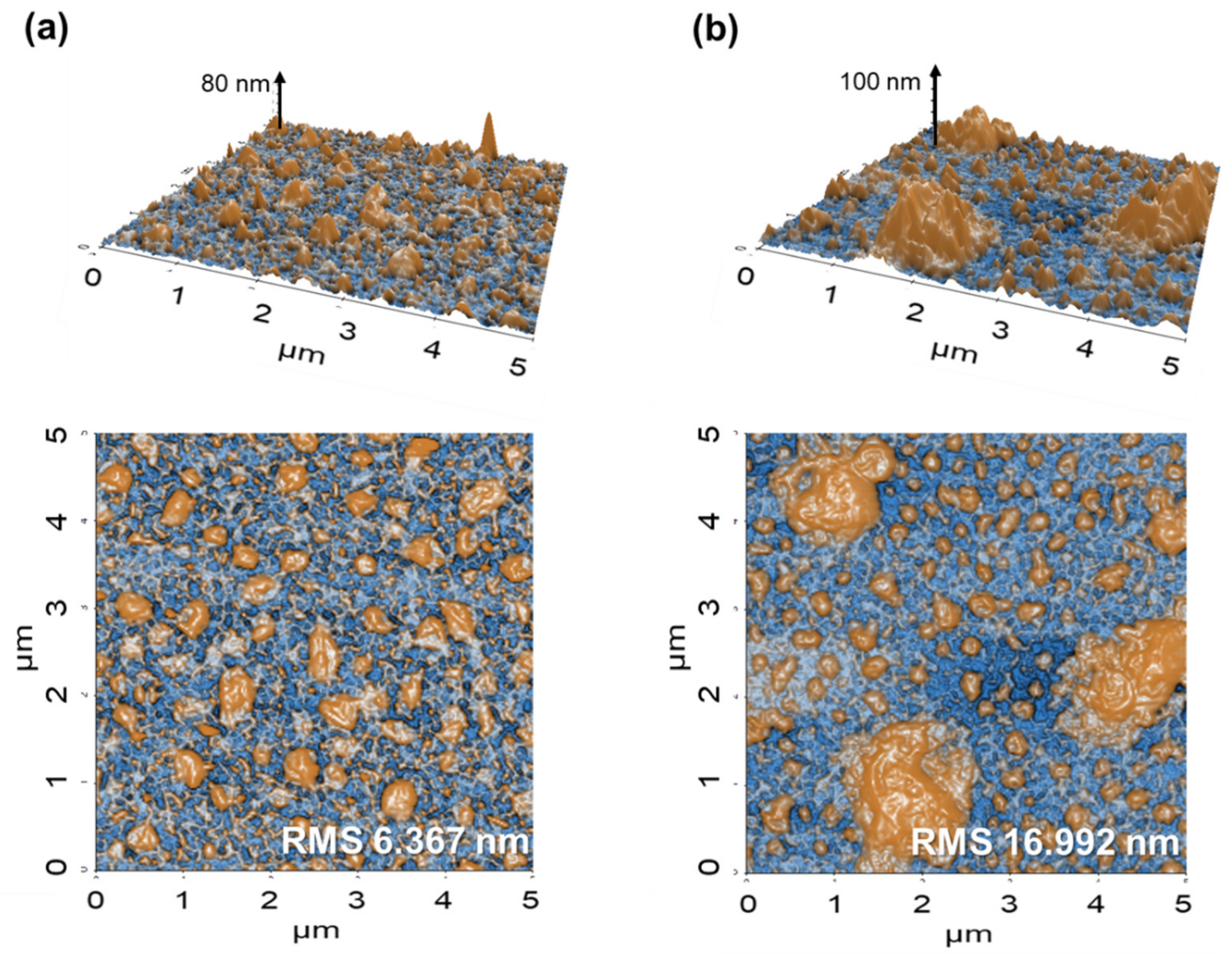 Nanomaterials 11 02779 g002