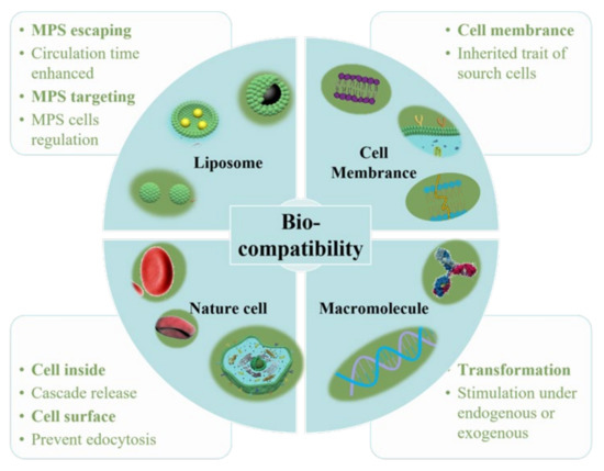 Optimization of Nanoparticles for Smart Drug Delivery: A Review