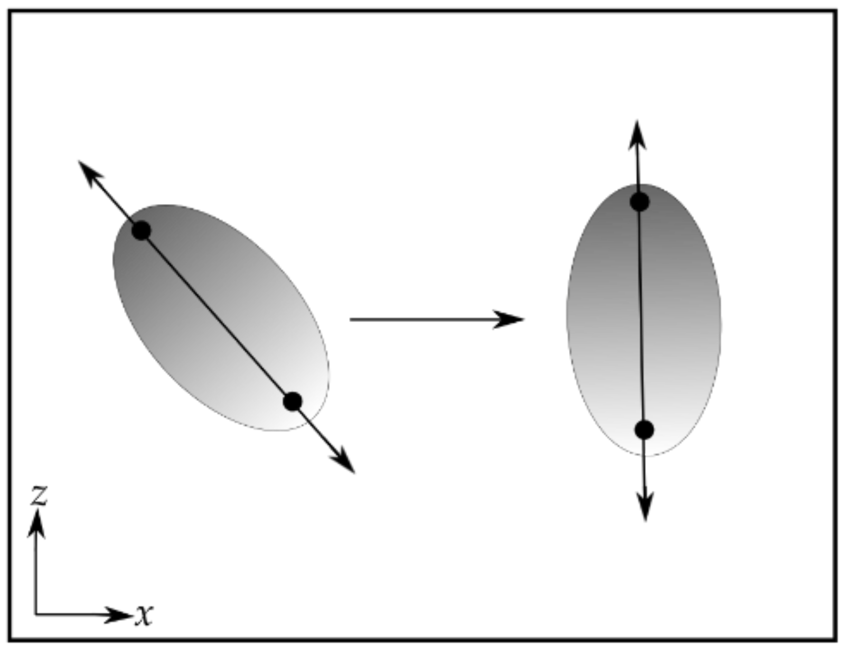 Nanomaterials 11 02795 g001