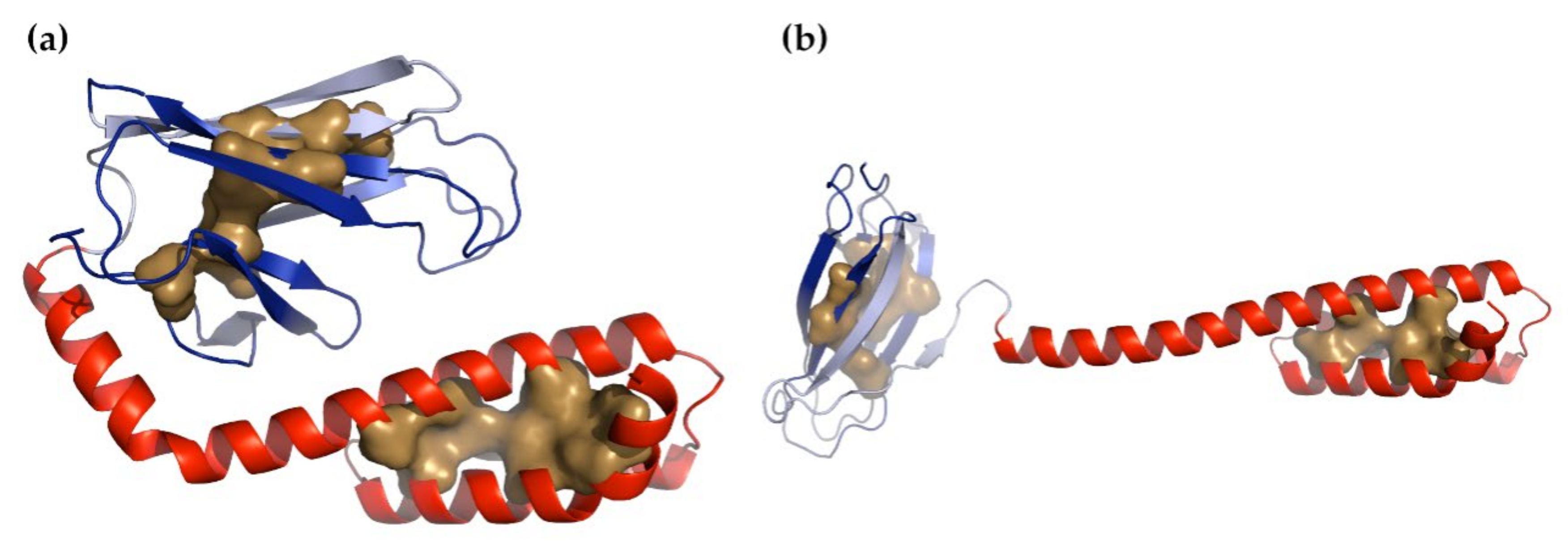 Nanomaterials 11 02795 g005