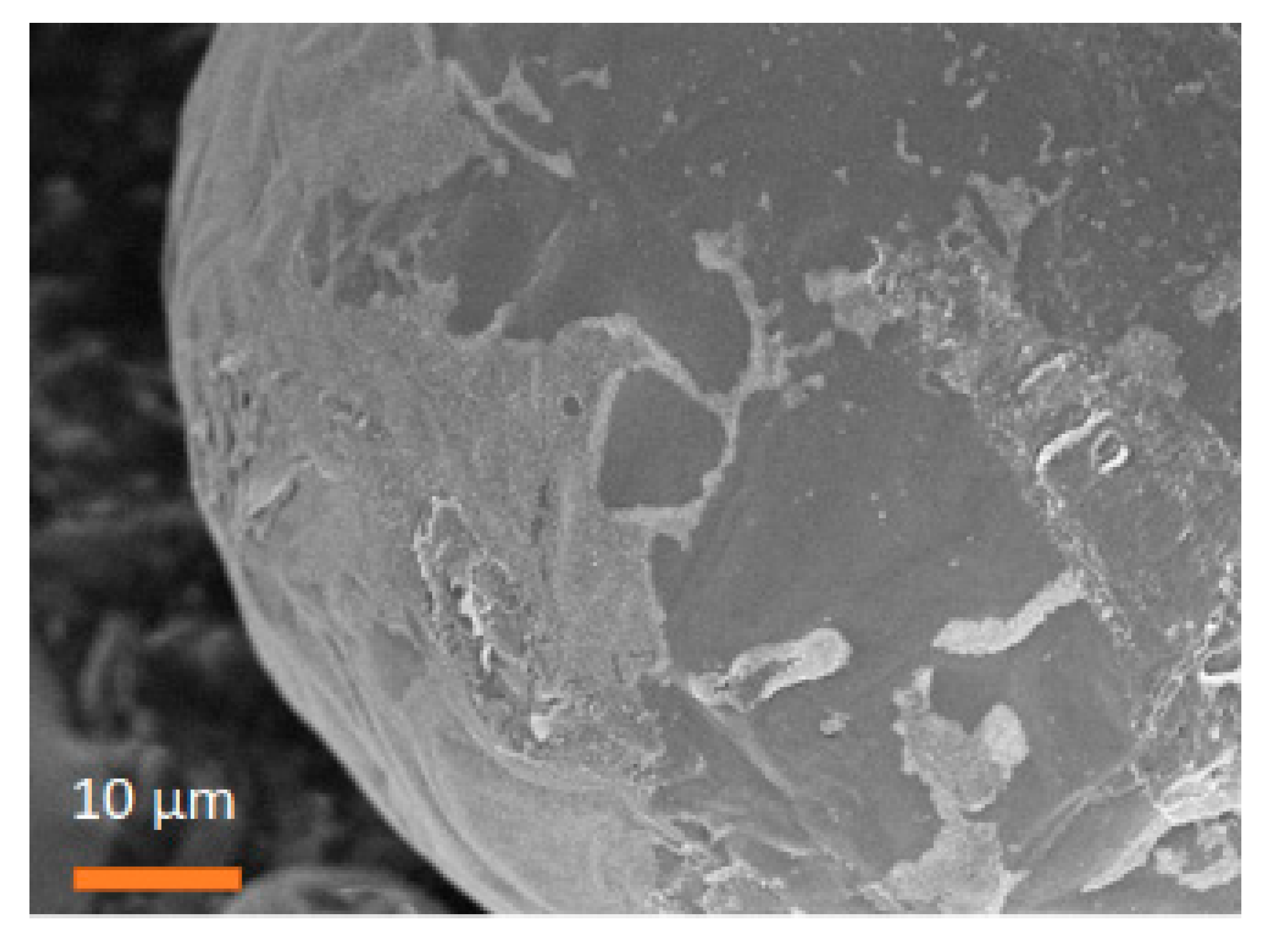 Nanomaterials 11 02797 g005