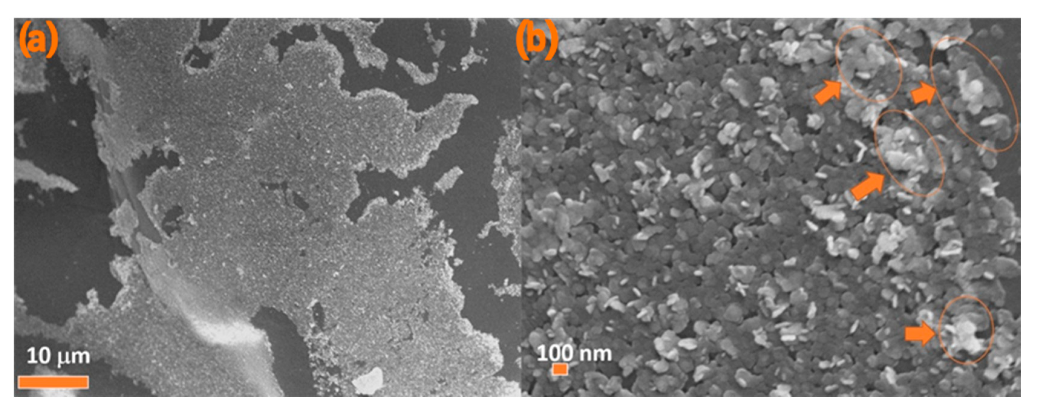 Nanomaterials 11 02797 g007