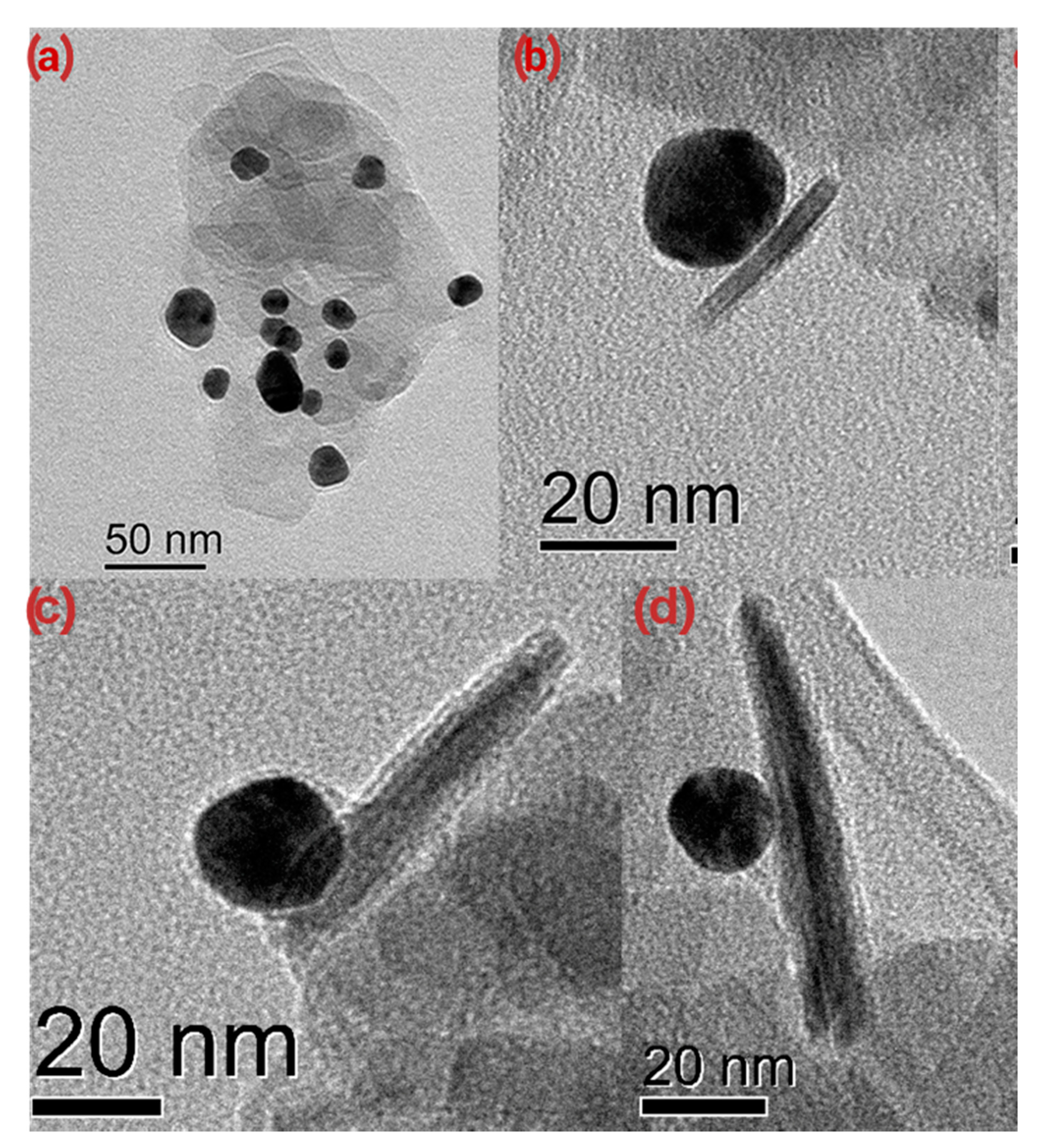 Nanomaterials 11 02797 g008