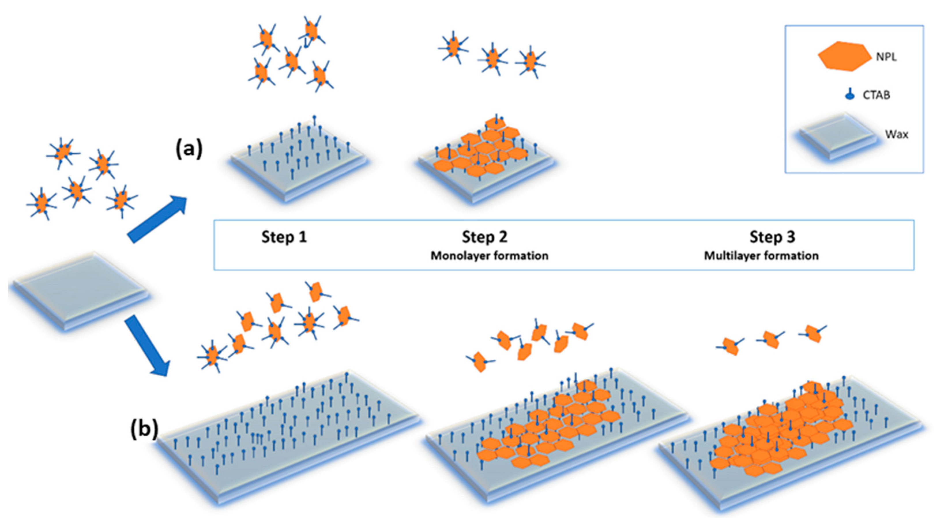 Nanomaterials 11 02797 sch001