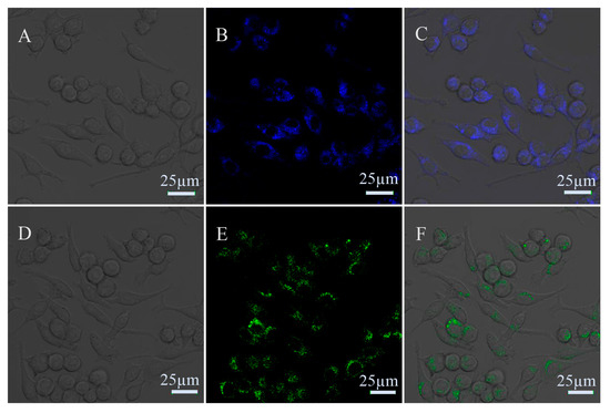 One-Pot Synthesis of Bright Blue Luminescent N-Doped GQDs
