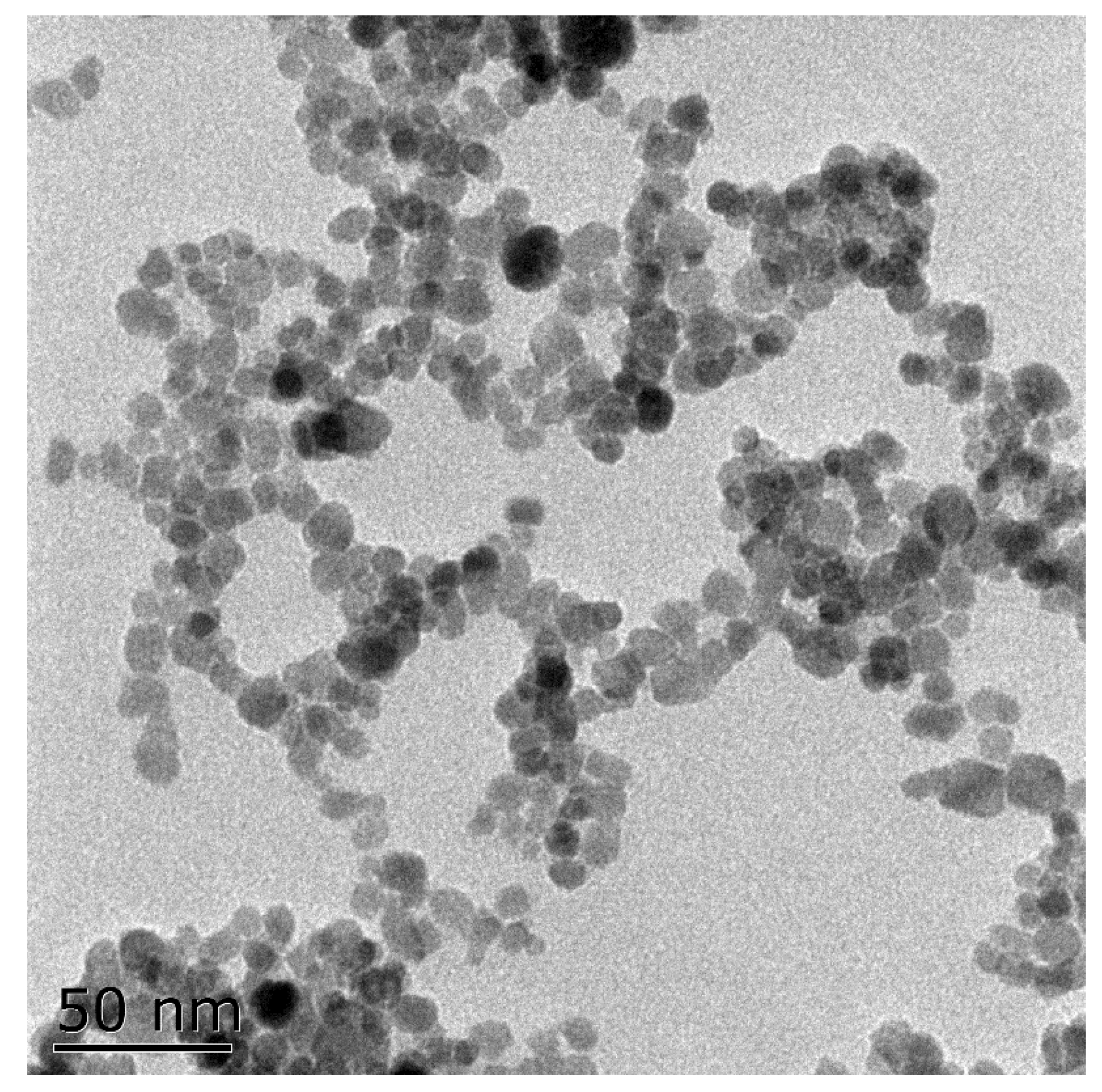 Nanomaterials 11 02802 g001