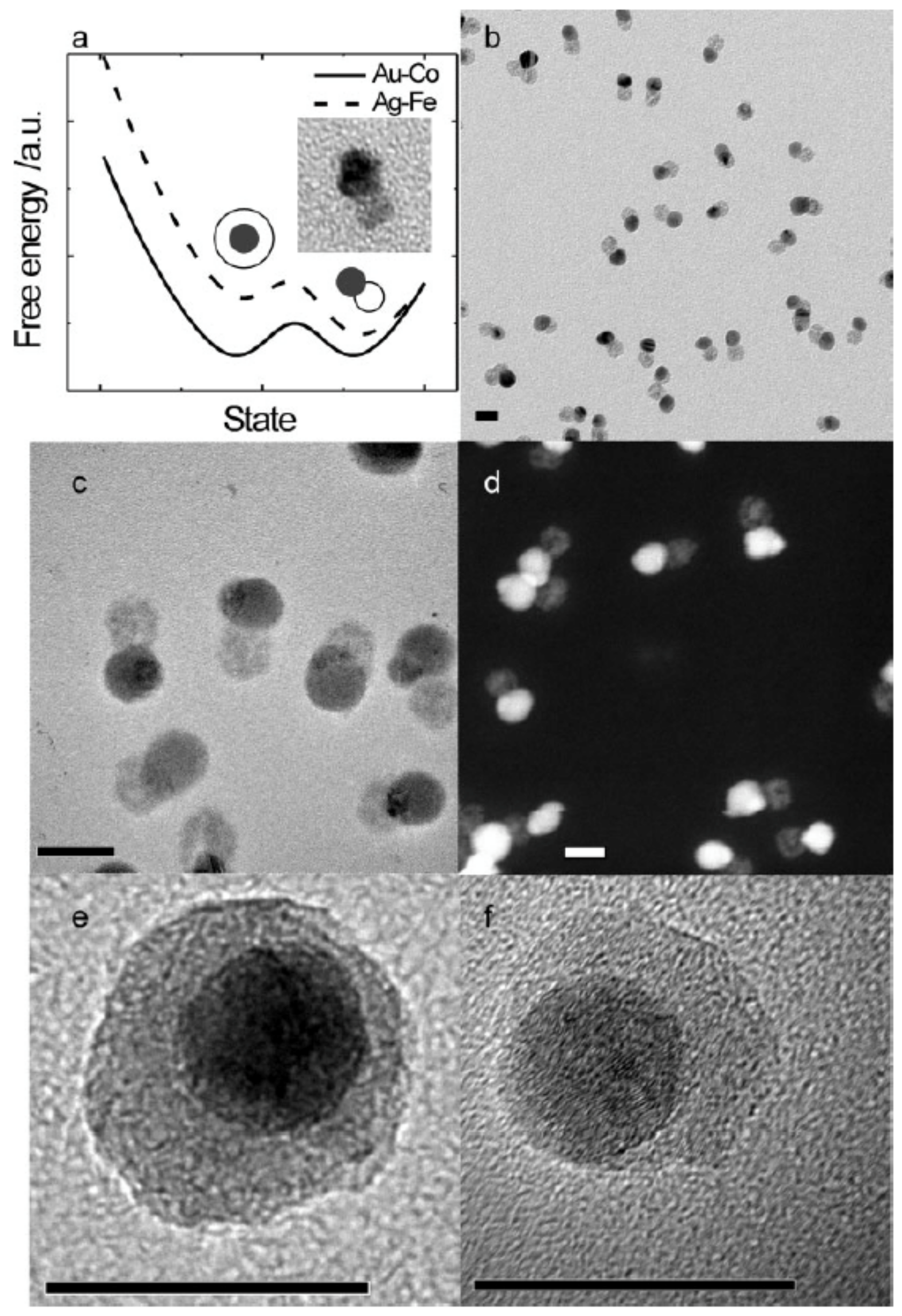 Nanomaterials 11 02803 g014 Nanomaterials 11 02803 g014