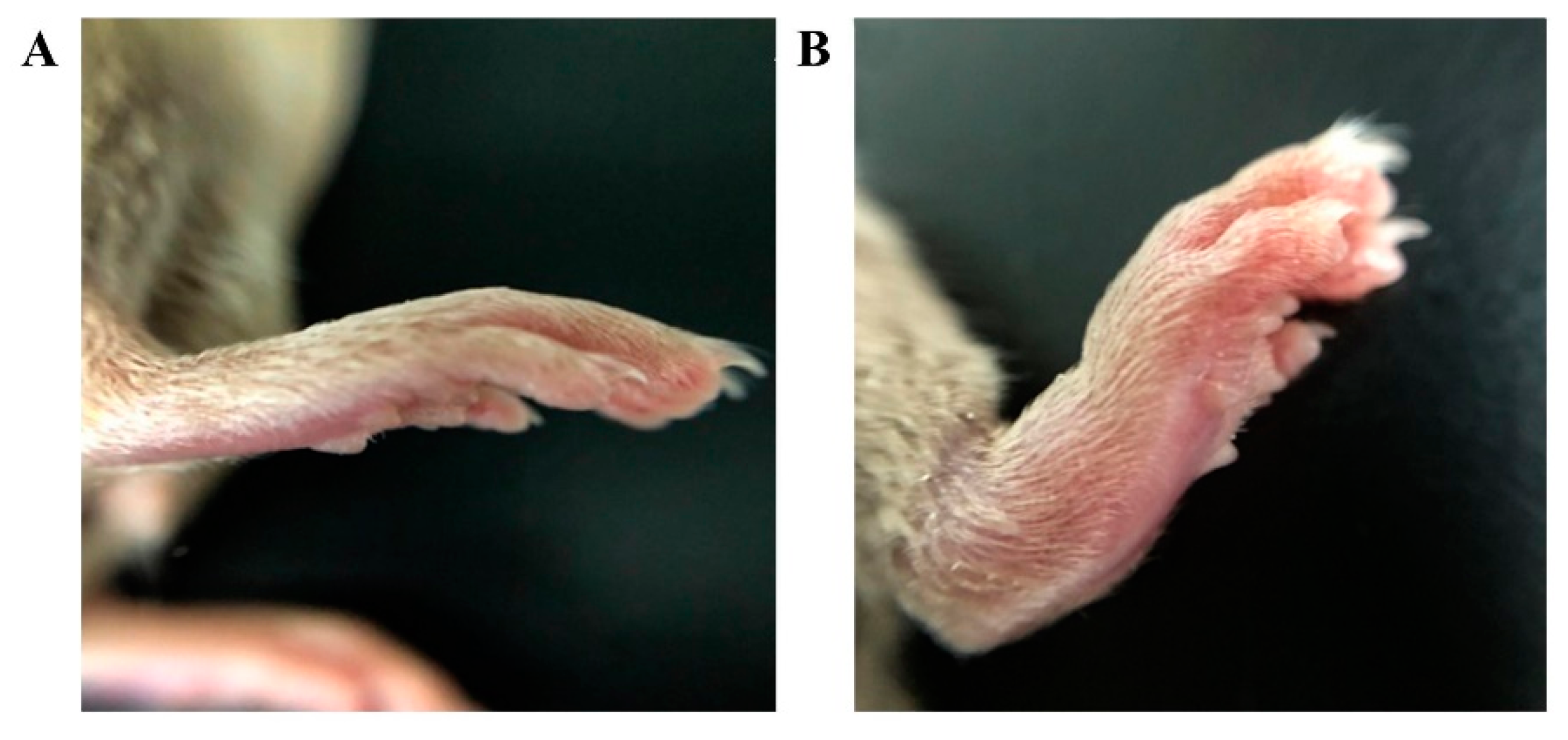 Nanomaterials 11 02812 g006