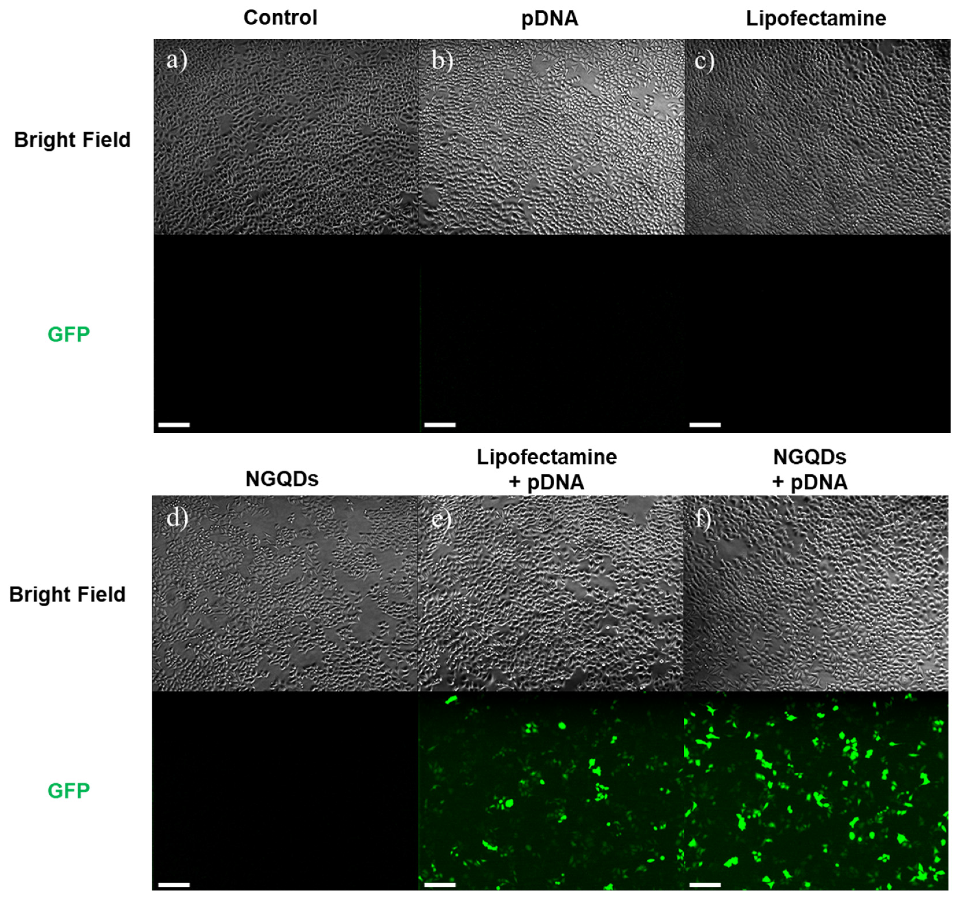 Nanomaterials 11 02816 g007