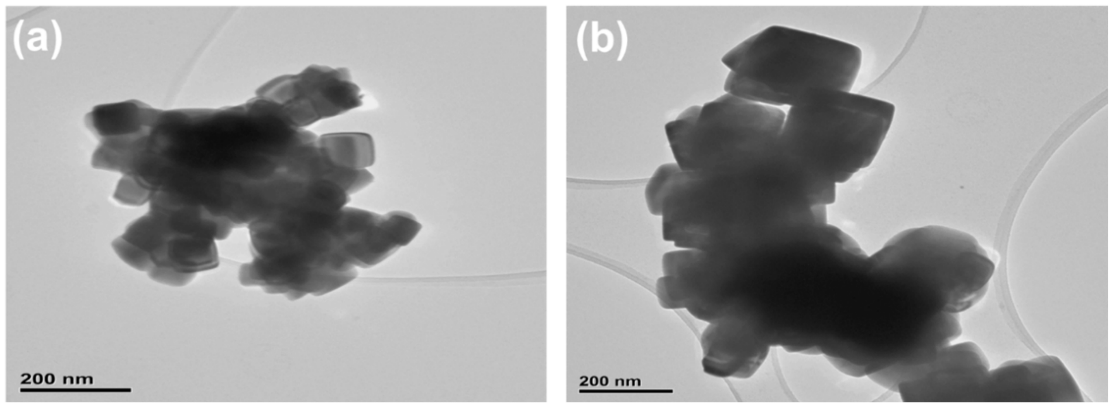 Nanomaterials 11 02817 g004