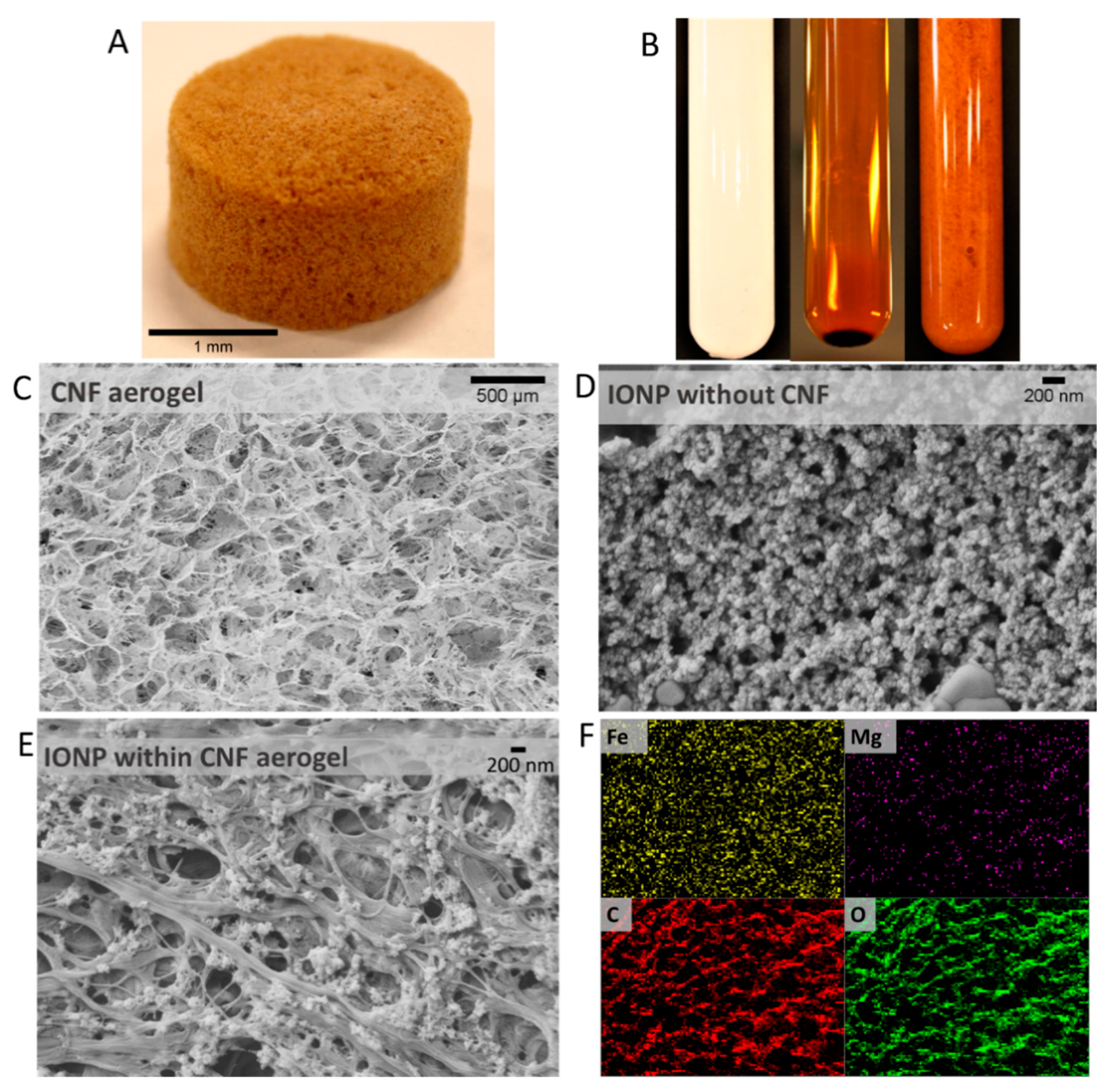 Nanomaterials 11 02818 g006