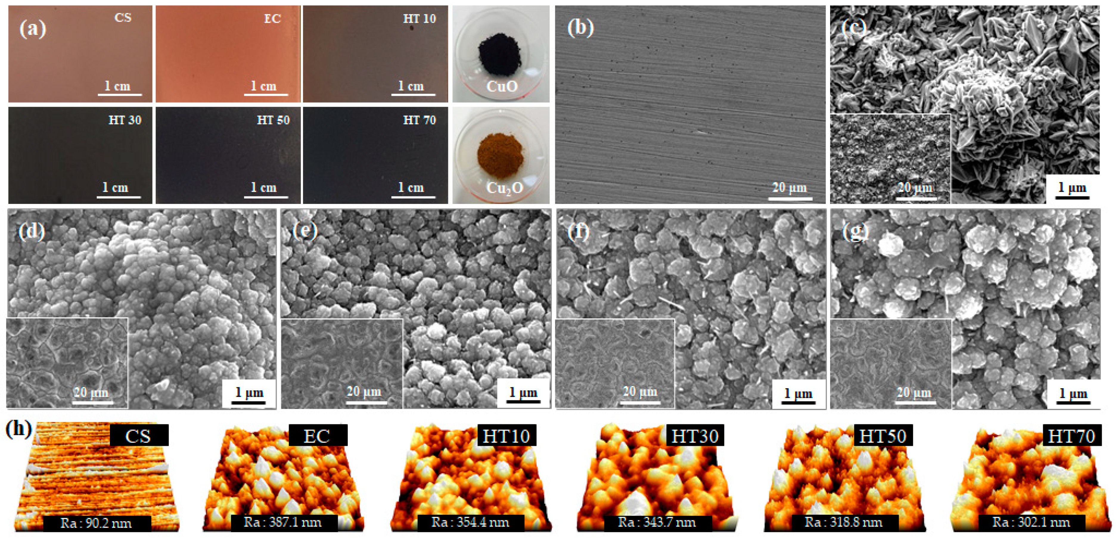 Nanomaterials 11 02819 g001