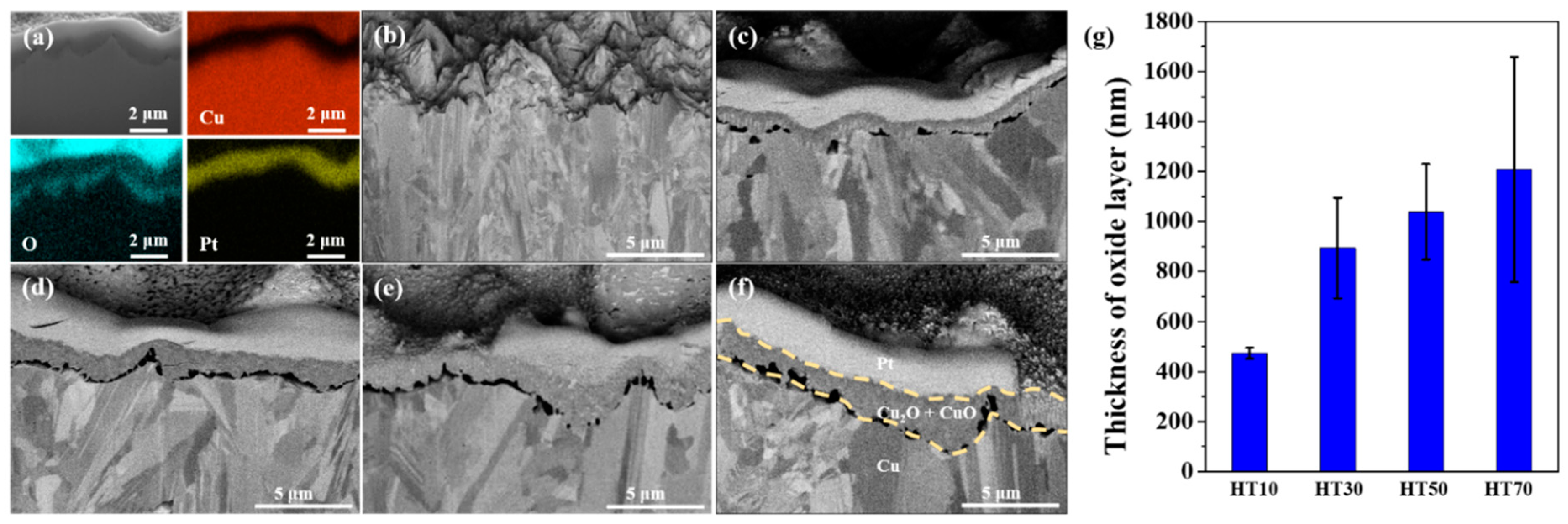 Nanomaterials 11 02819 g002