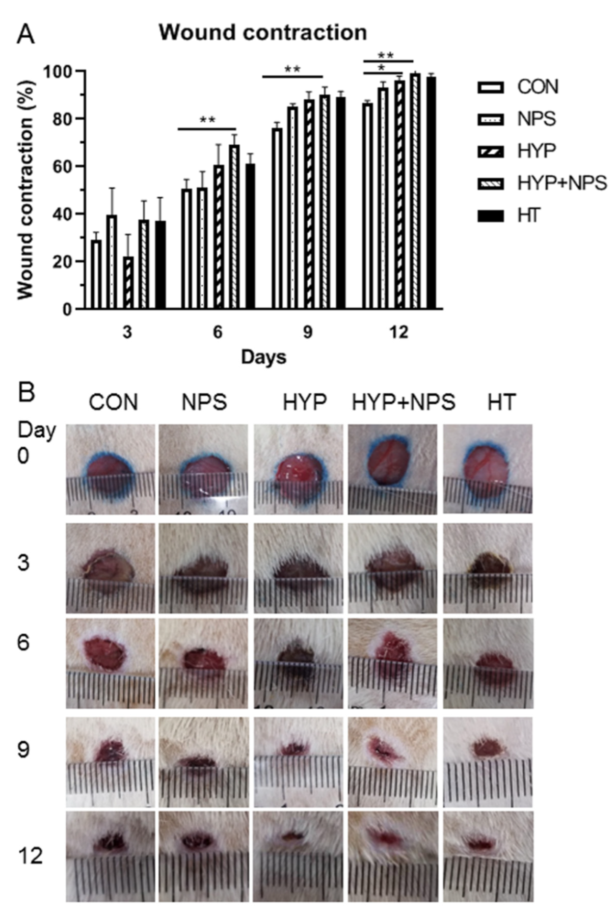 Nanomaterials 11 02830 g005 550