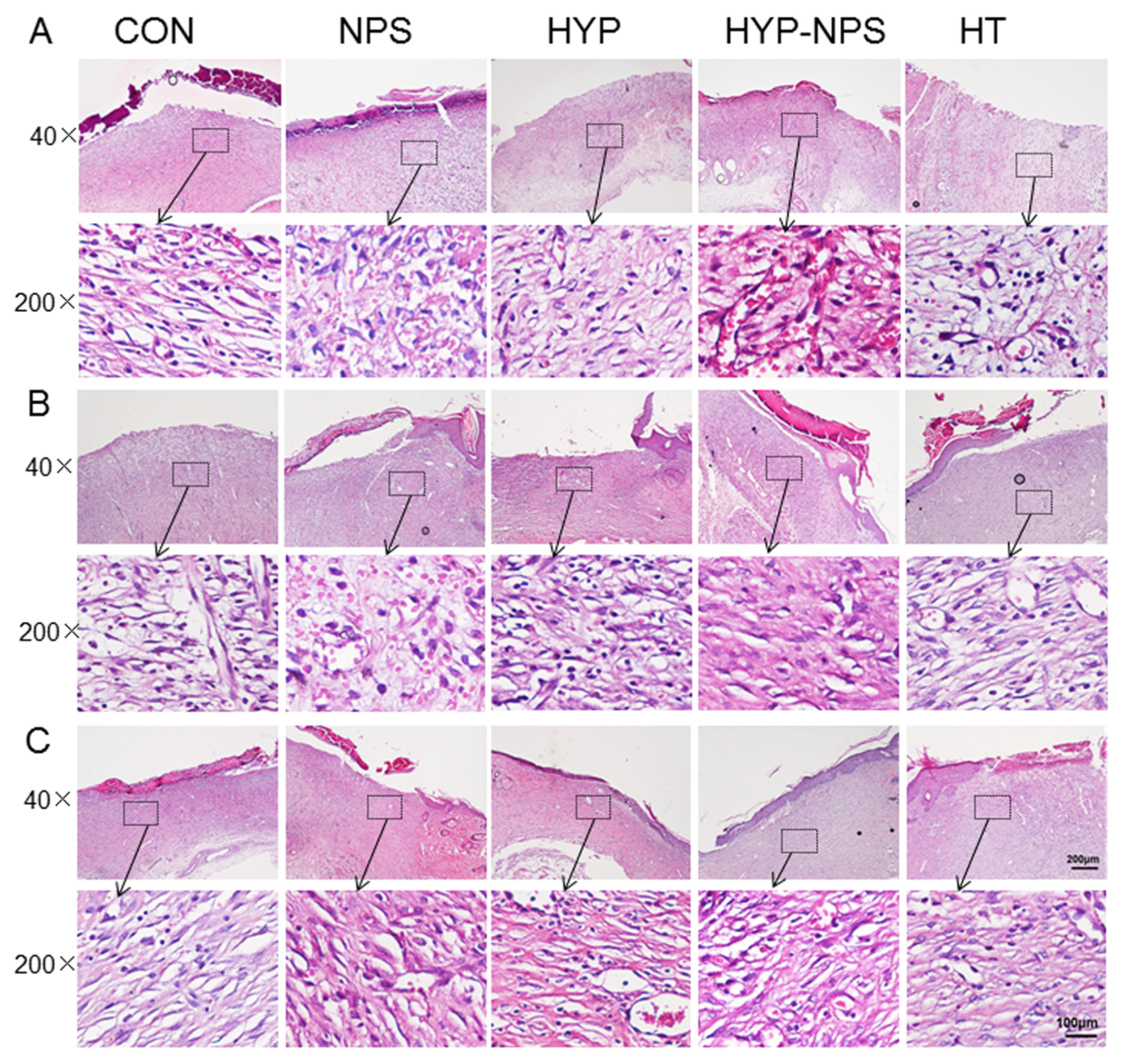 Nanomaterials 11 02830 g006 550