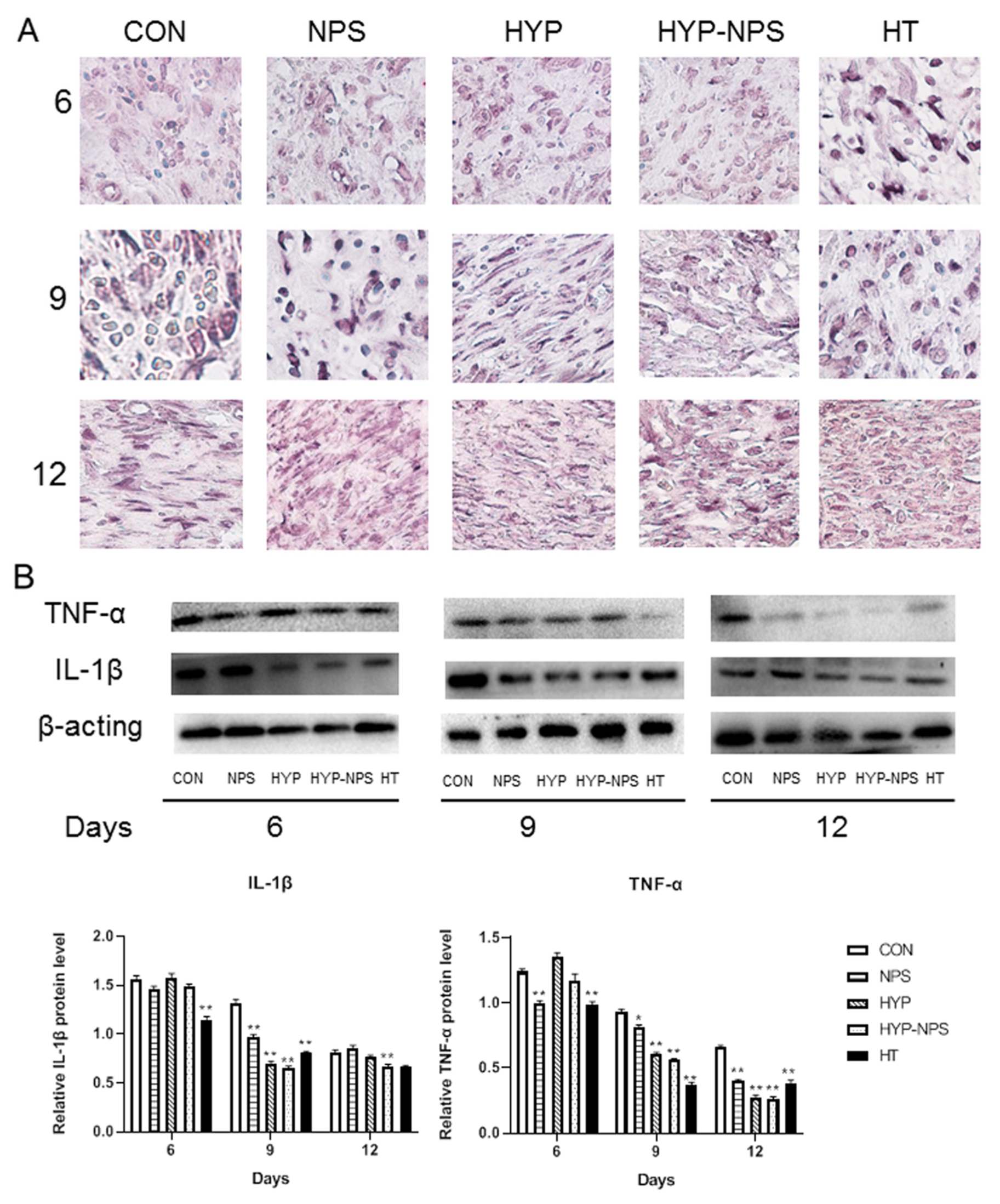 Nanomaterials 11 02830 g007 550