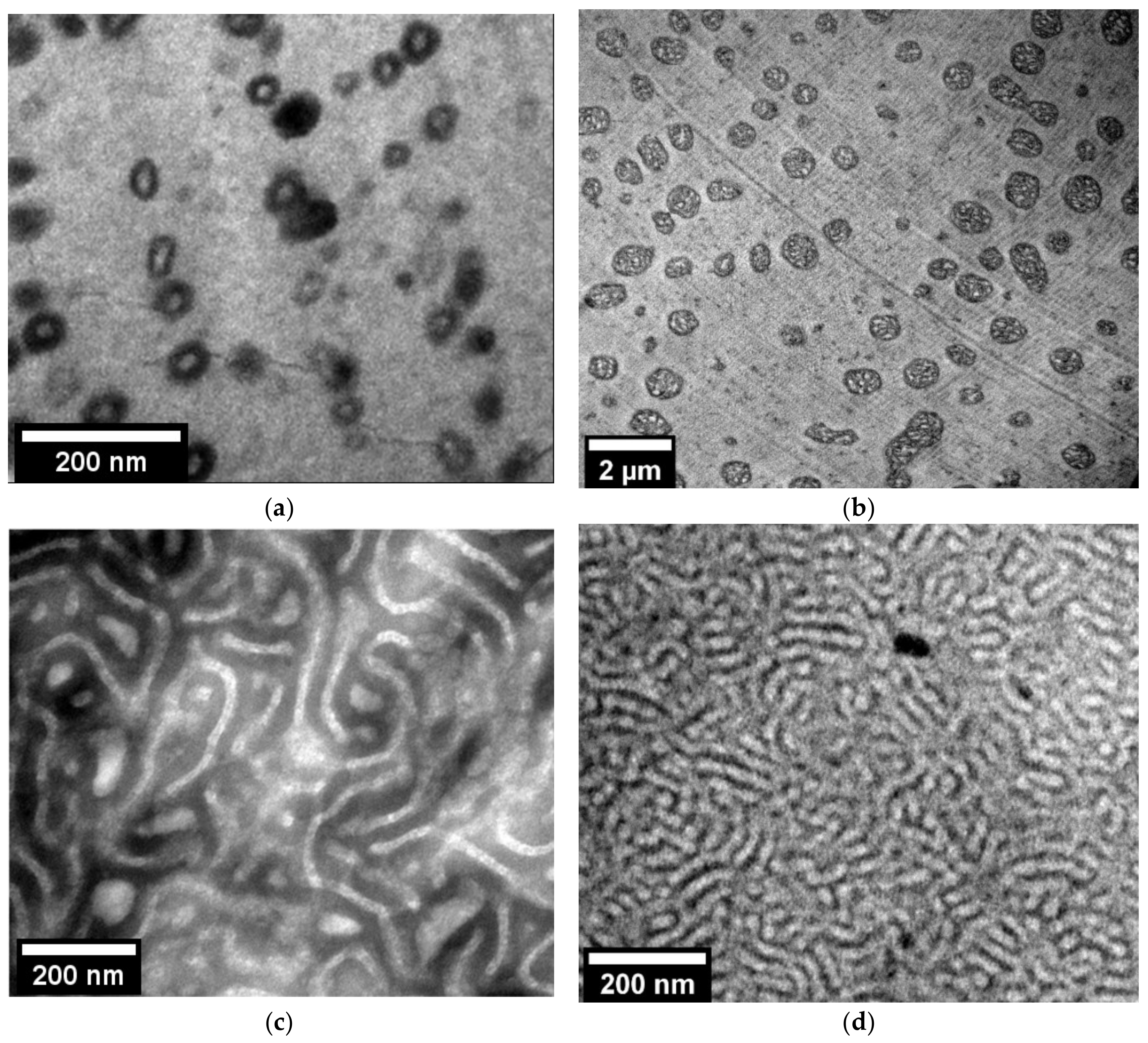 Nanomaterials 11 02834 g001 550