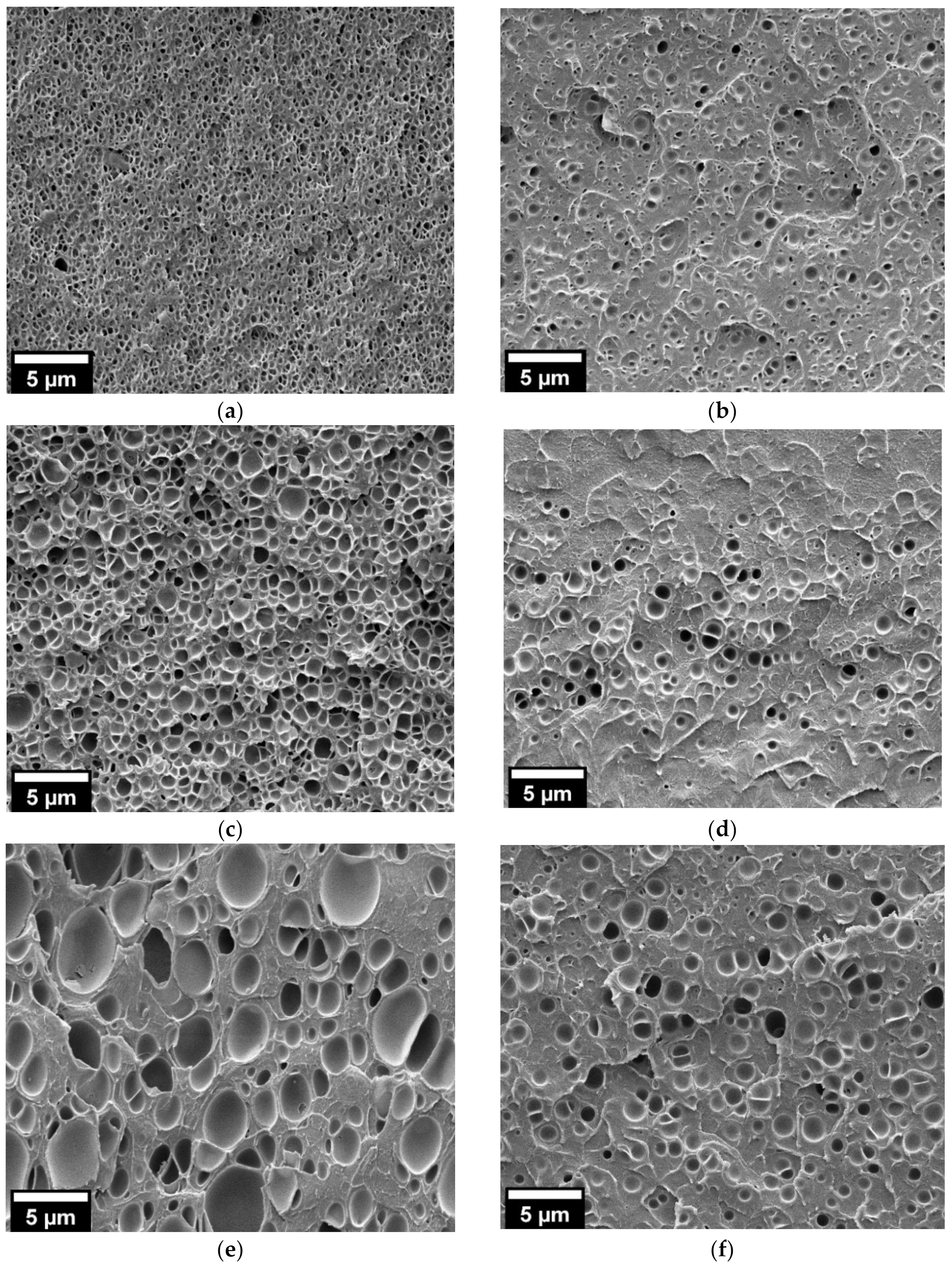 Nanomaterials 11 02834 g002 550