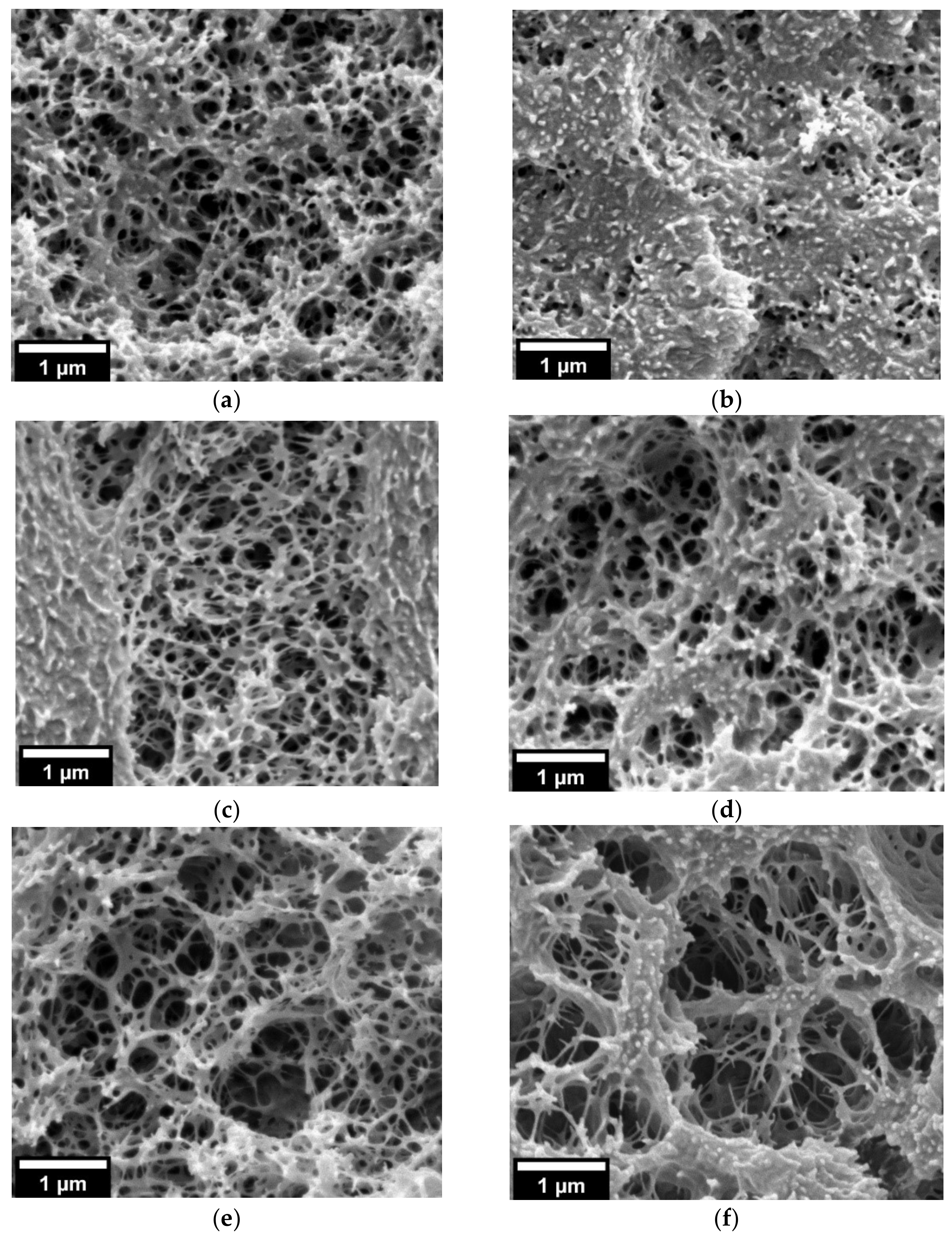 Nanomaterials 11 02834 g003 550