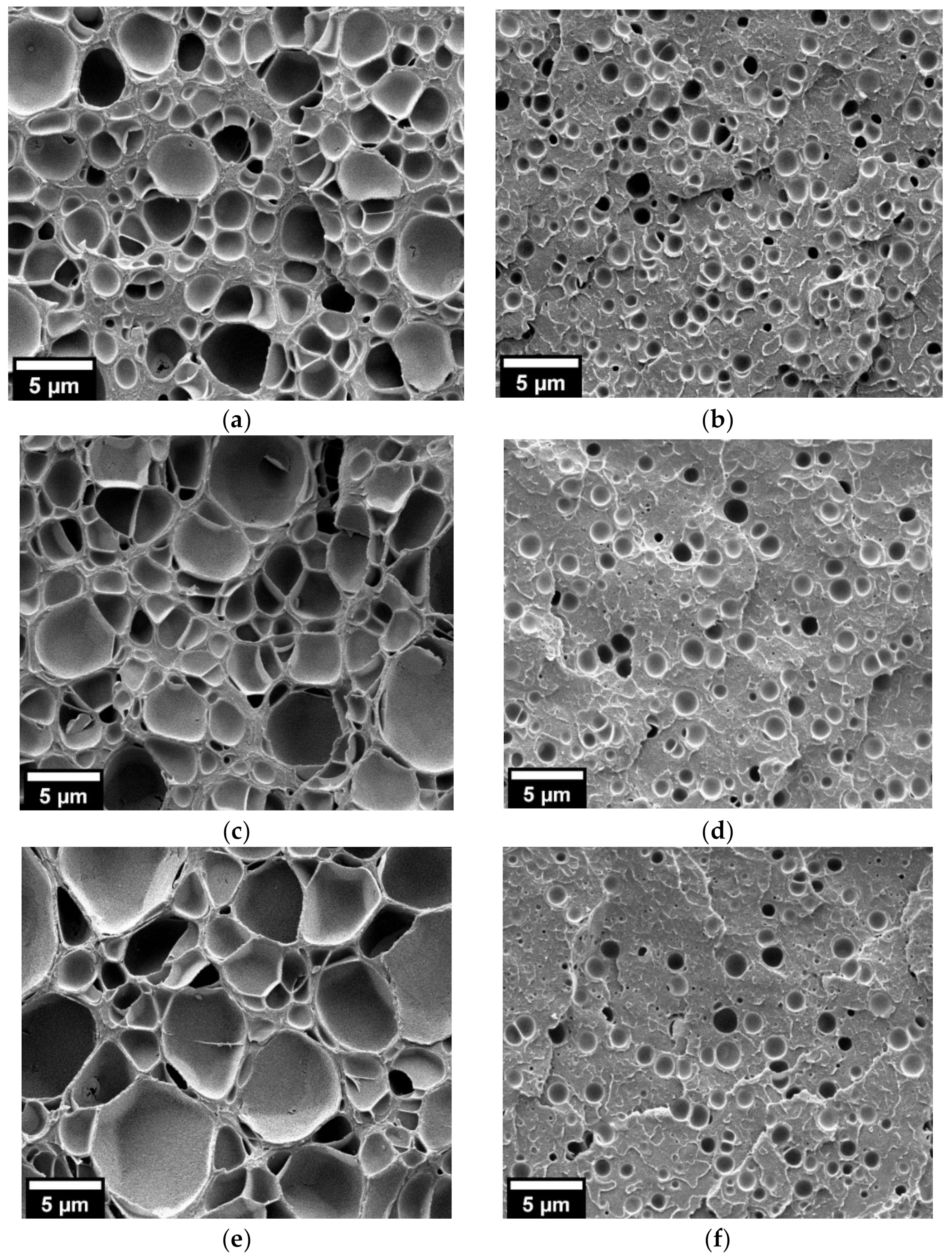 Nanomaterials 11 02834 g004 550