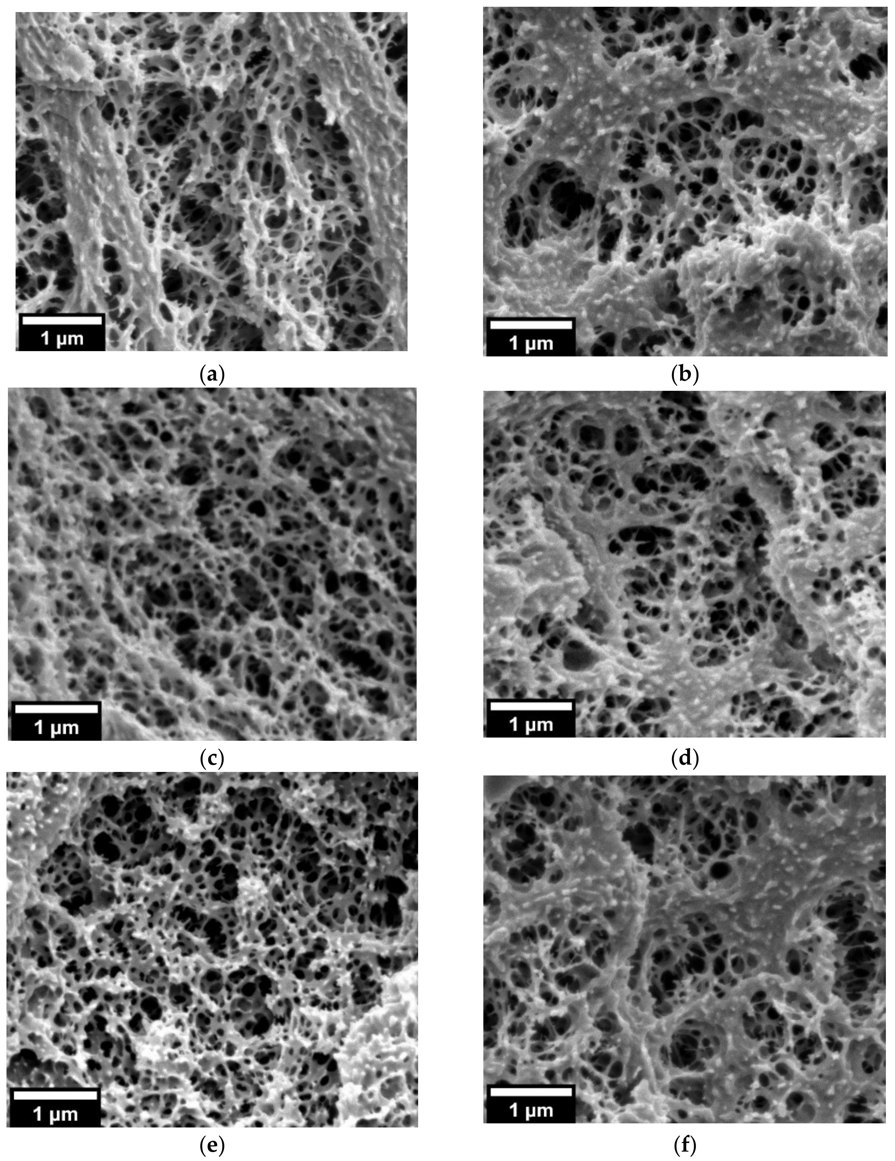 Nanomaterials 11 02834 g005 550