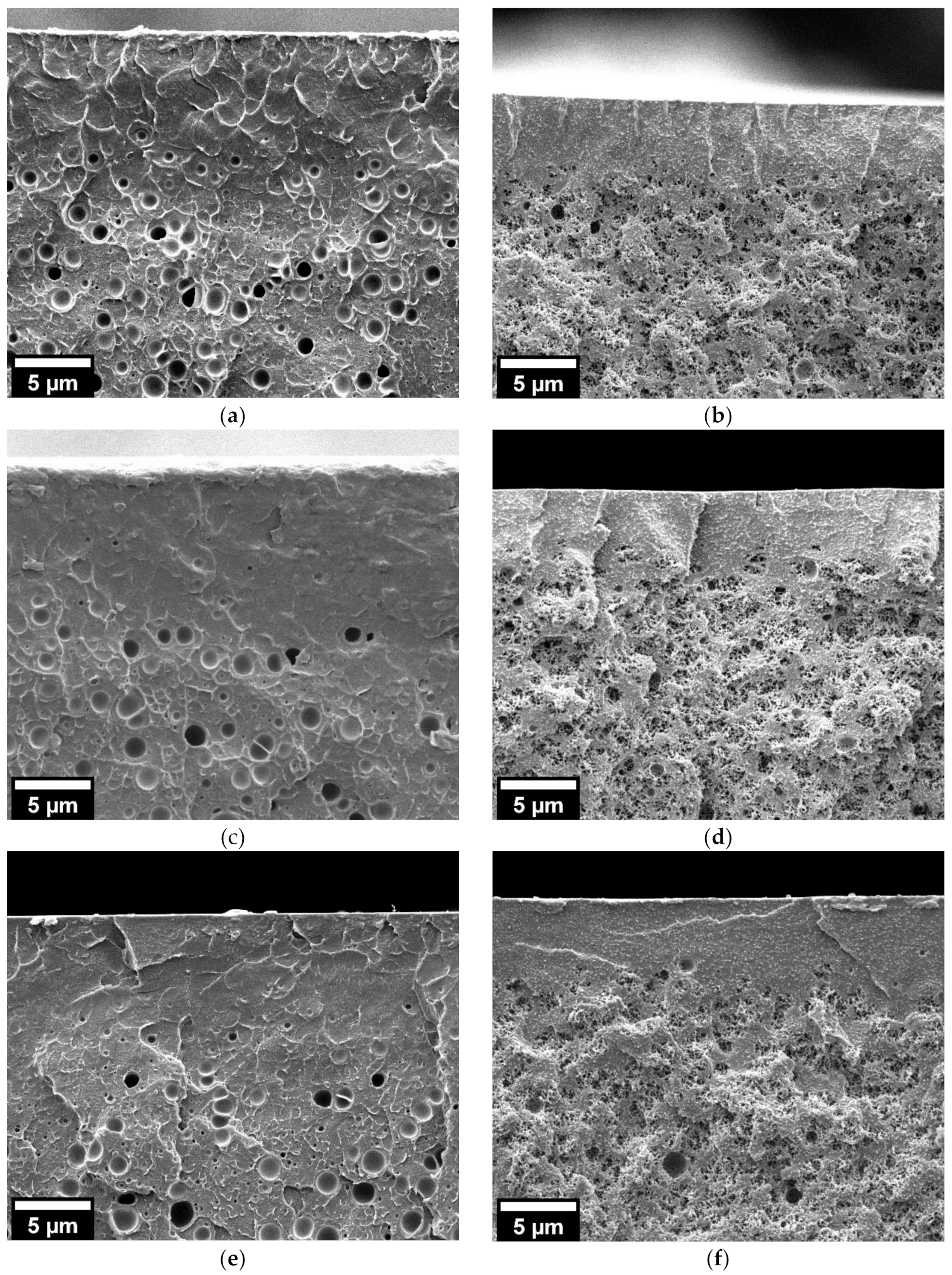 Nanomaterials 11 02834 g006 550