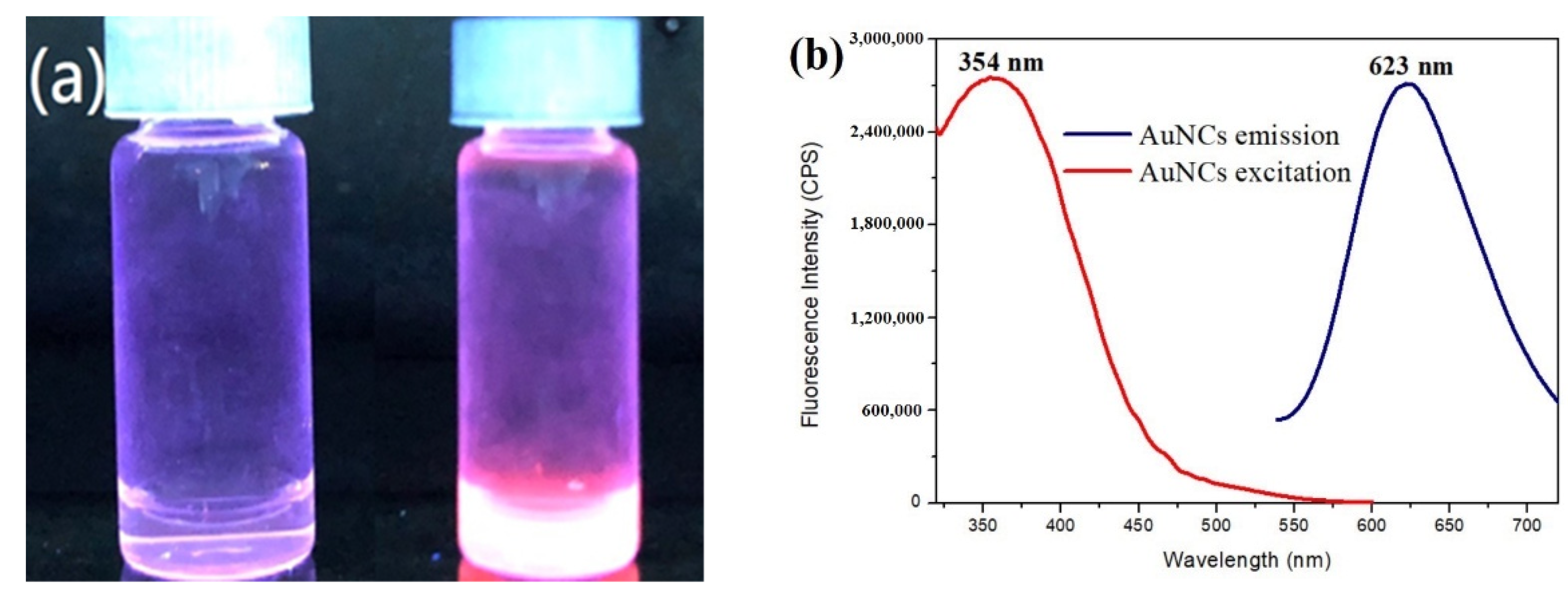 Nanomaterials 11 02835 g002 550