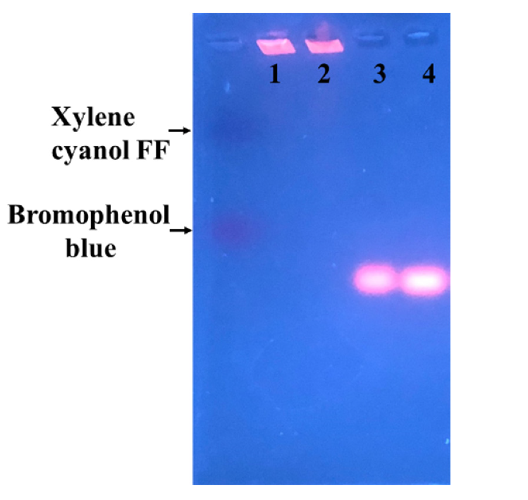 Nanomaterials 11 02835 g006 550